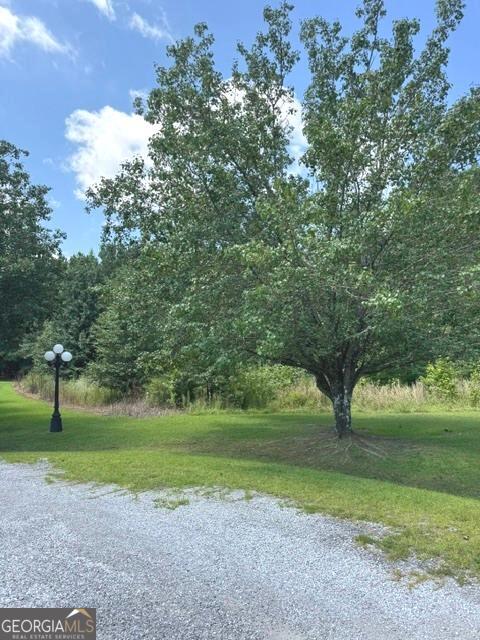 155 County Road 424 Lot 7 Property Photo 1