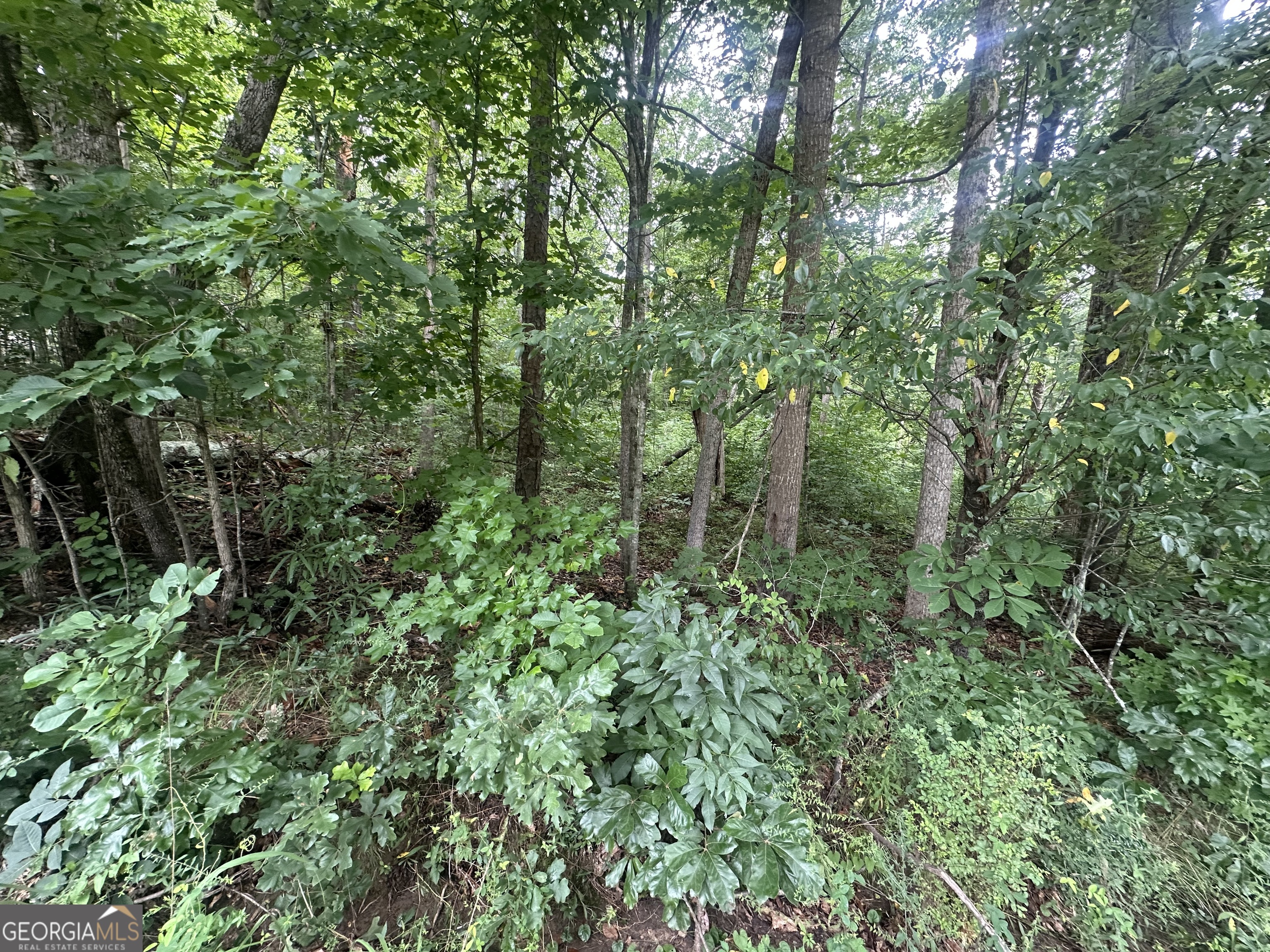 5281 N Forest Boulevard Property Photo 1