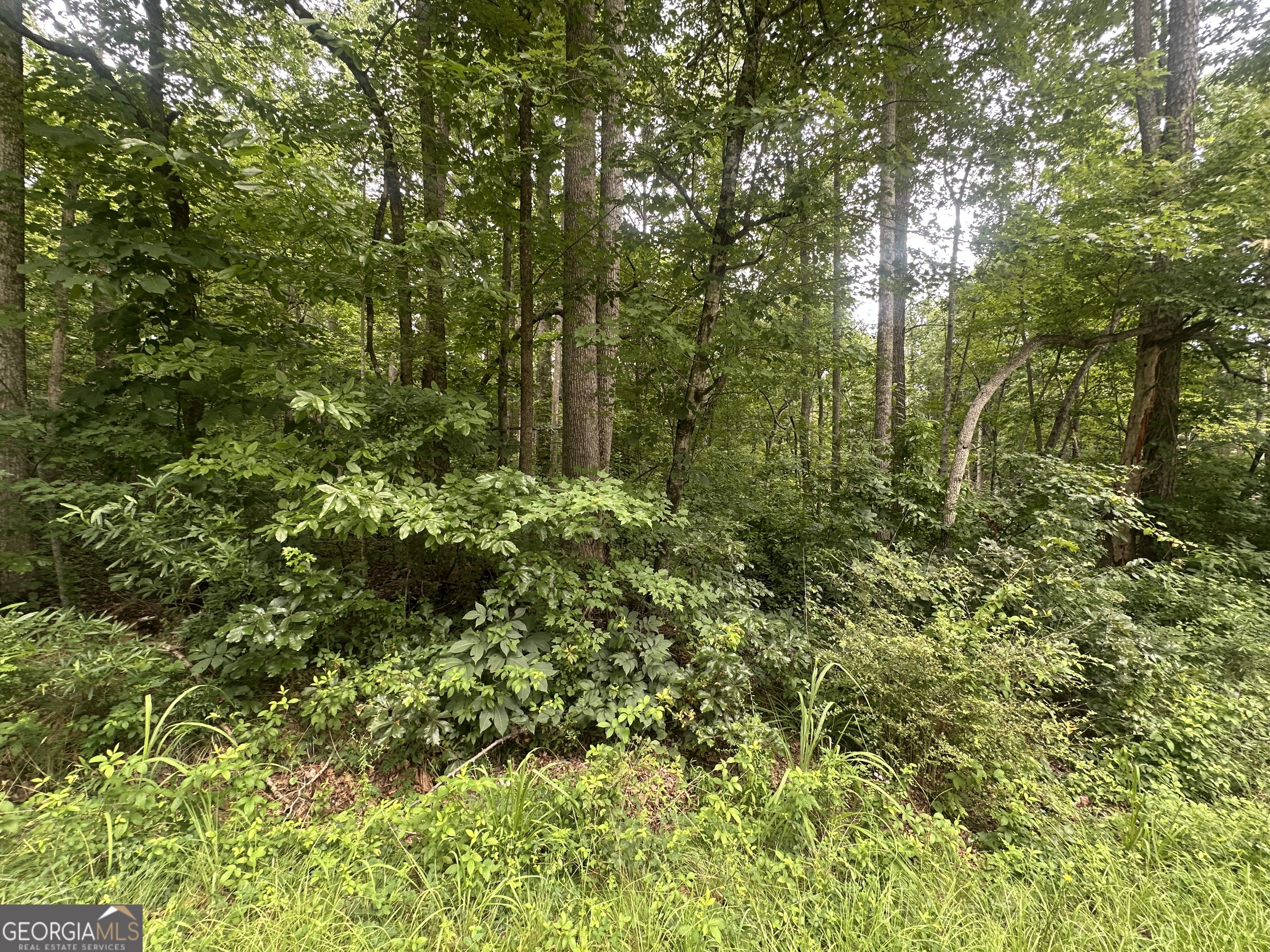 5281 N Forest Boulevard Property Photo 2