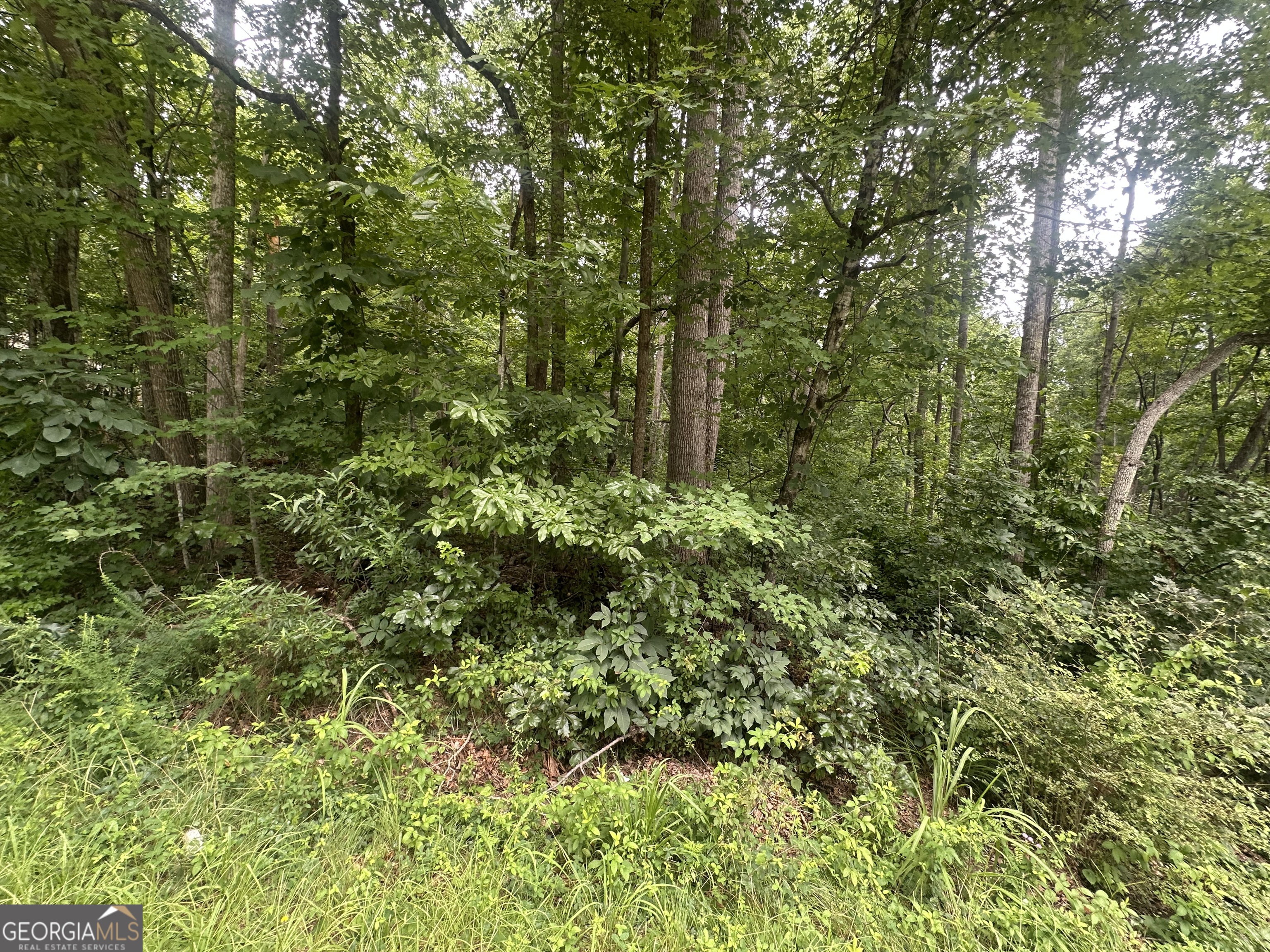 5281 N Forest Boulevard Property Photo 3