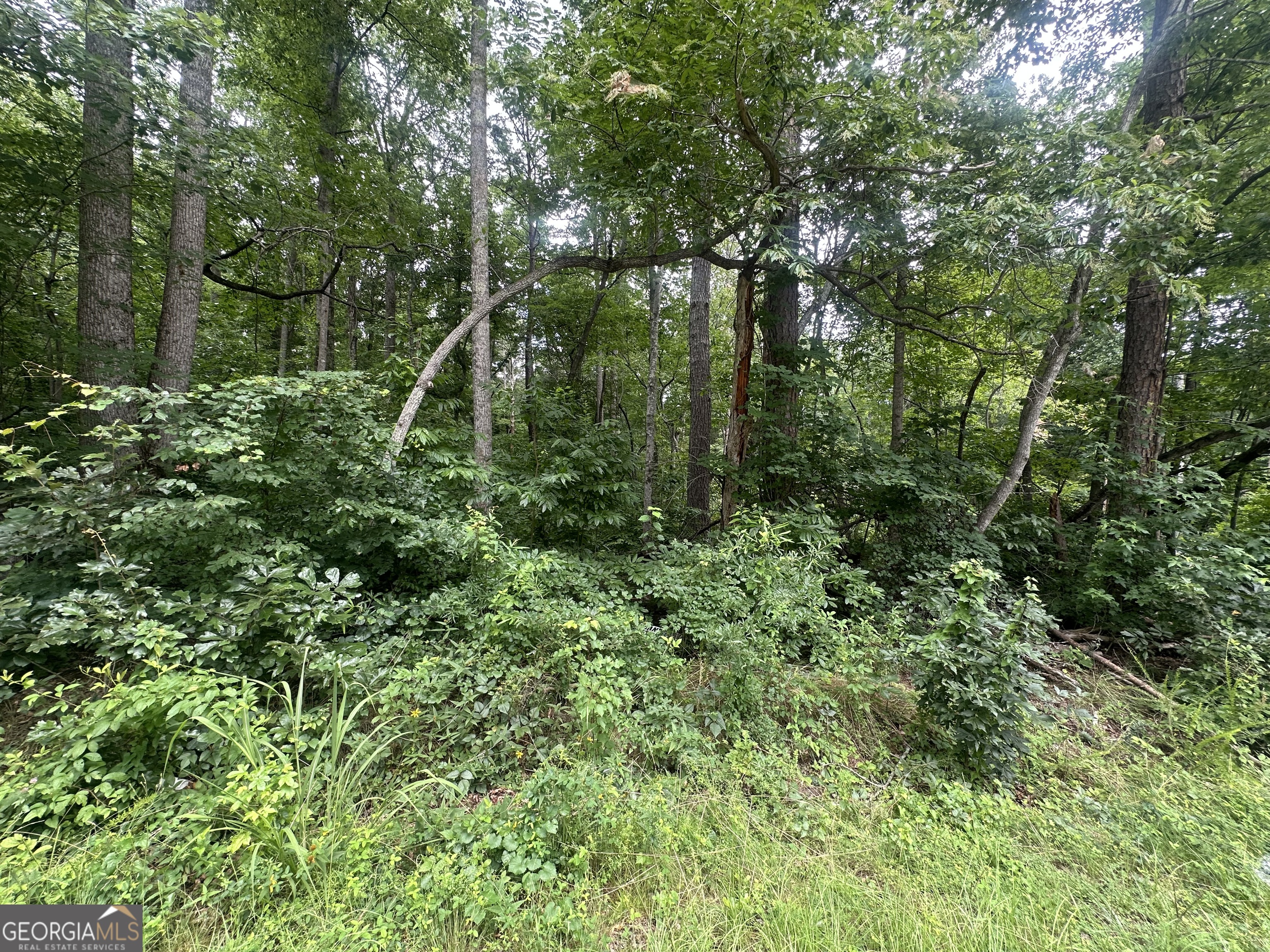 5281 N Forest Boulevard Property Photo 4