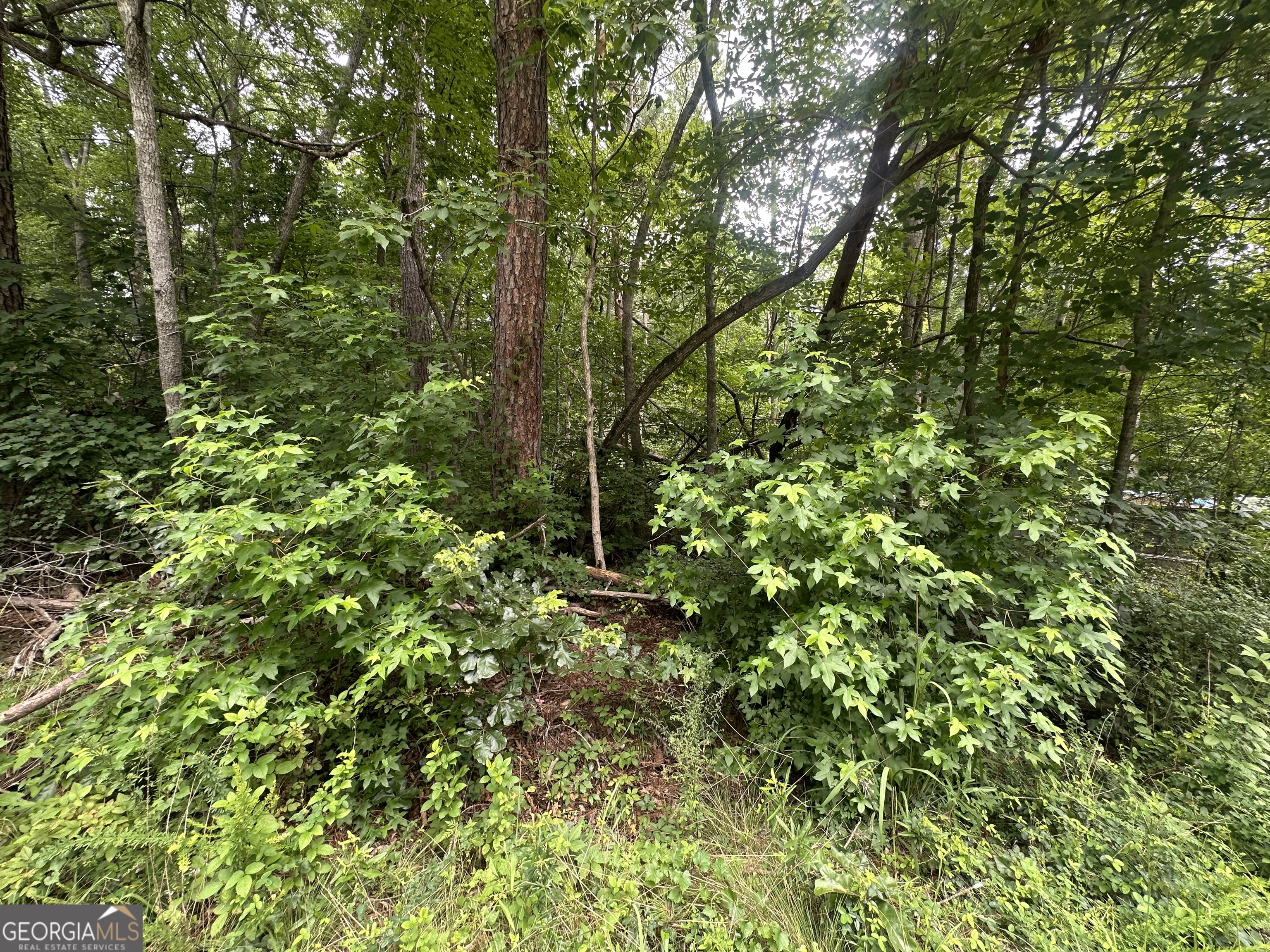 5281 N Forest Boulevard Property Photo 5