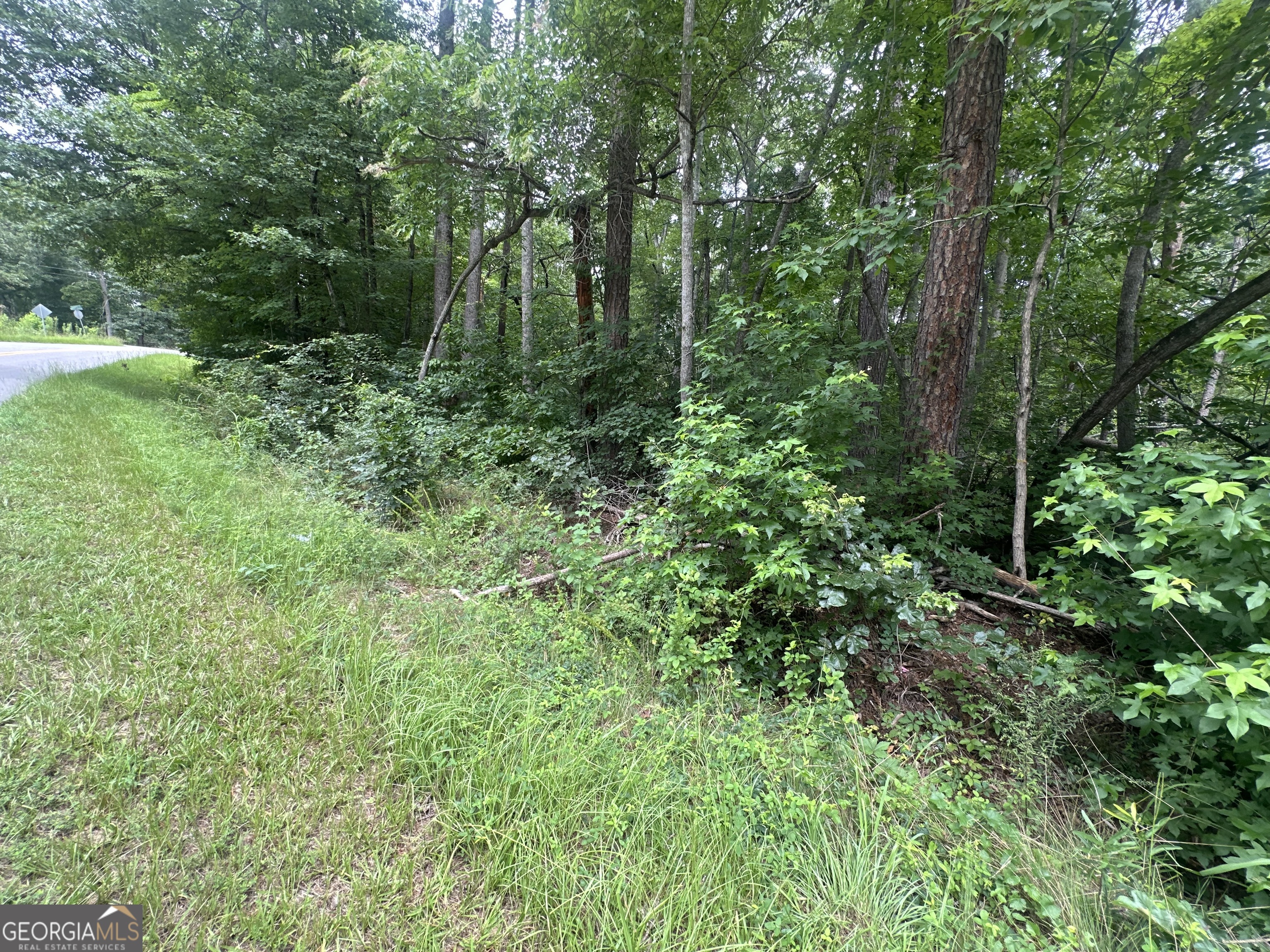 5281 N Forest Boulevard Property Photo 6