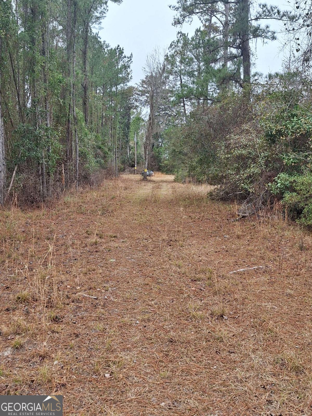 2447 Old Hwy 259 Property Photo 2