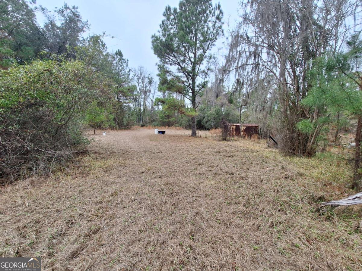 2447 Old Hwy 259 Property Photo 4