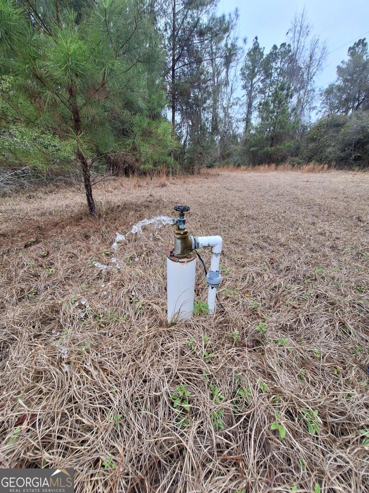 2447 Old Hwy 259 Property Photo 5