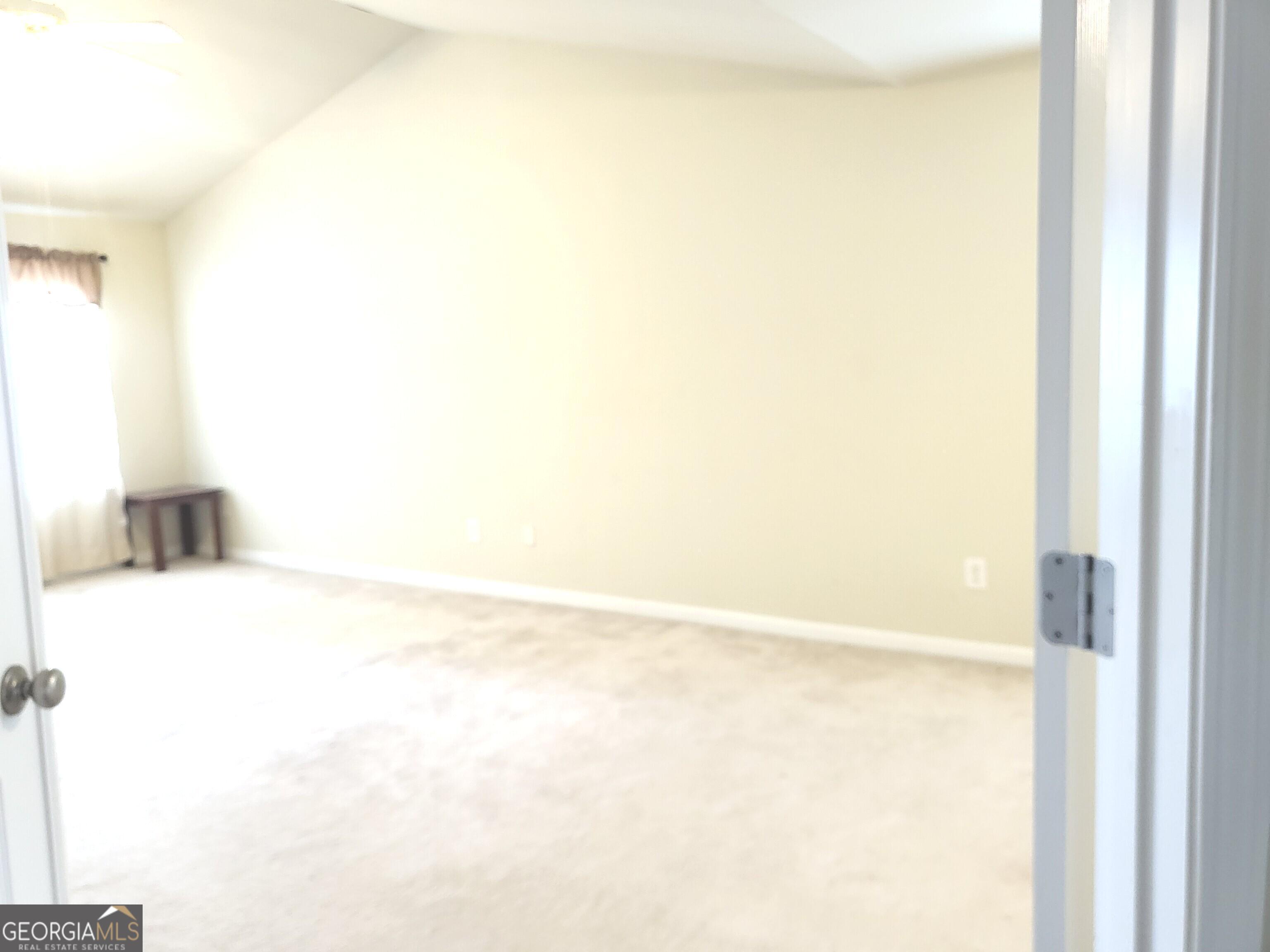 3447 Drayton Manor Run Property Photo 29