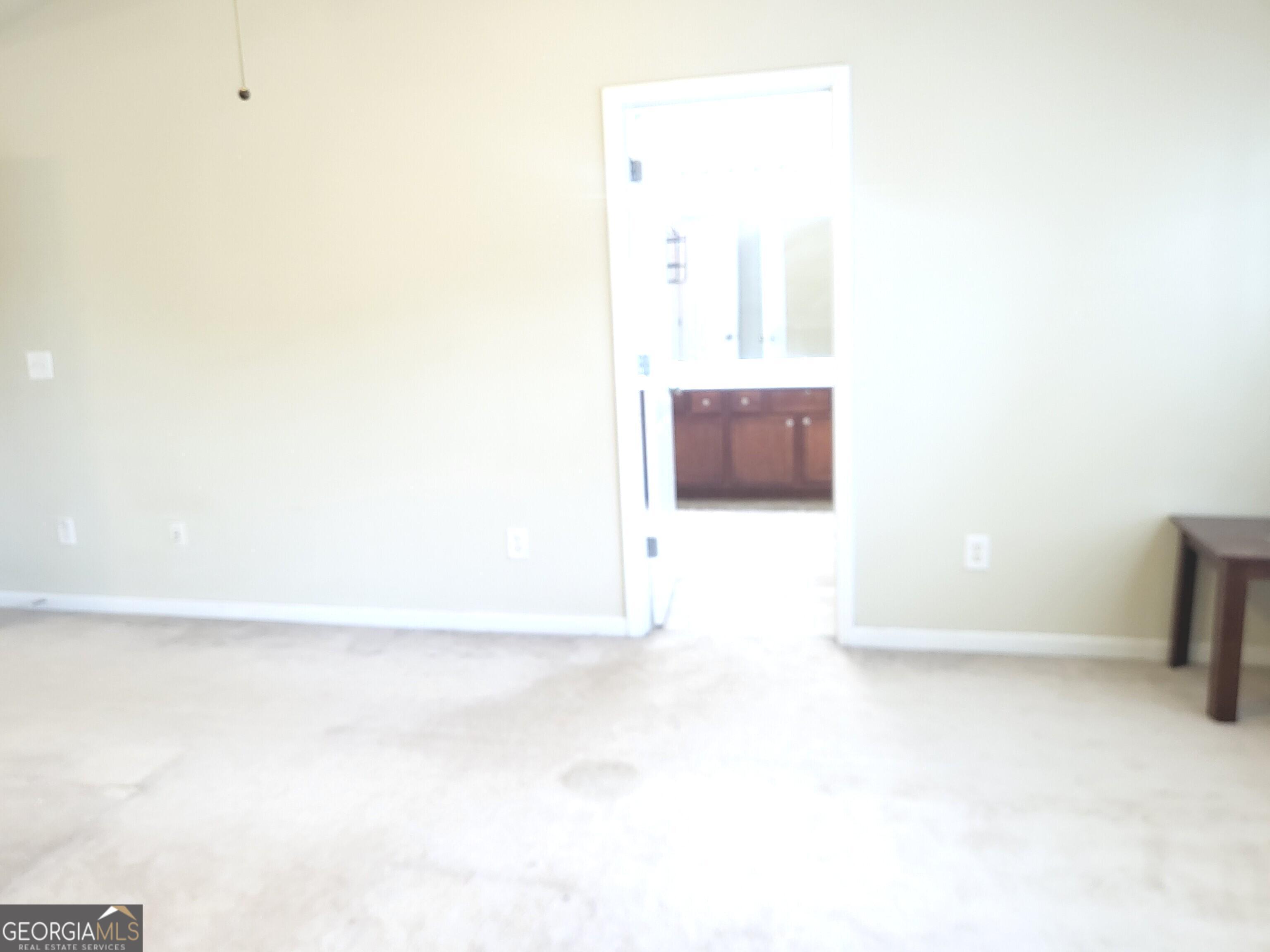 3447 Drayton Manor Run Property Photo 32