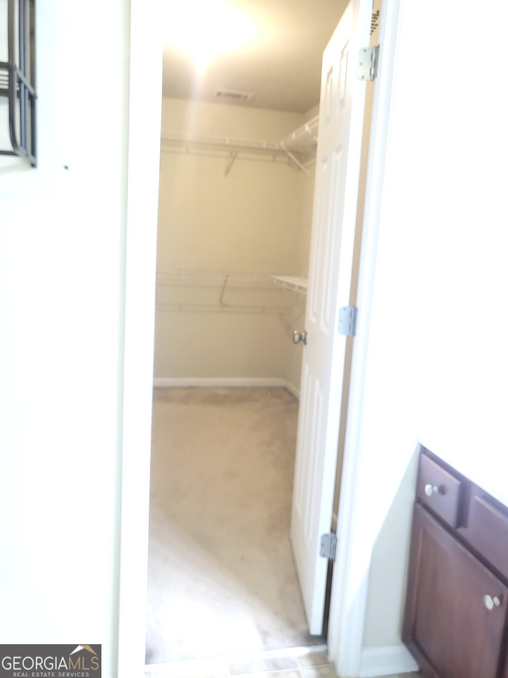 3447 Drayton Manor Run Property Photo 33