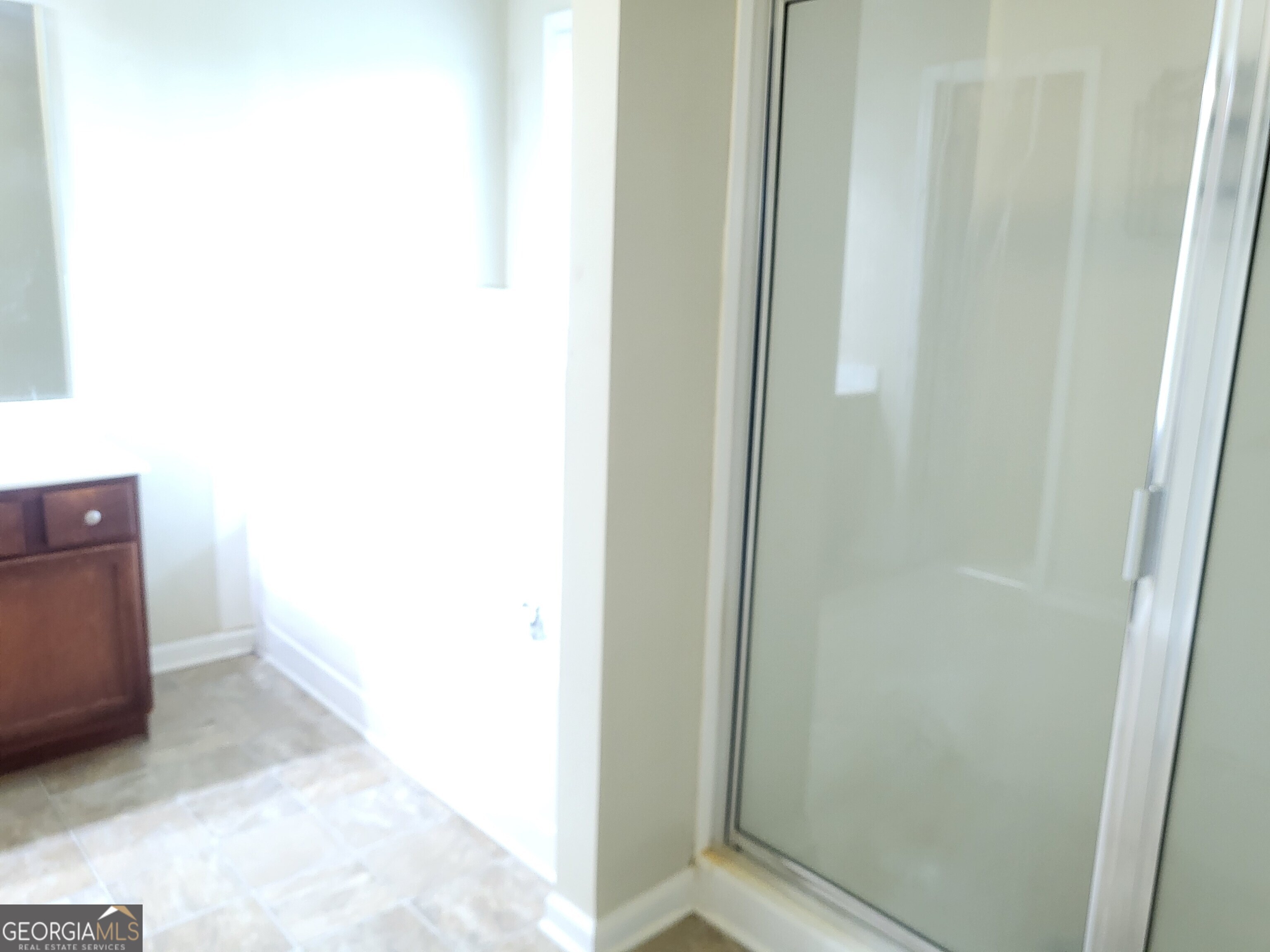 3447 Drayton Manor Run Property Photo 34