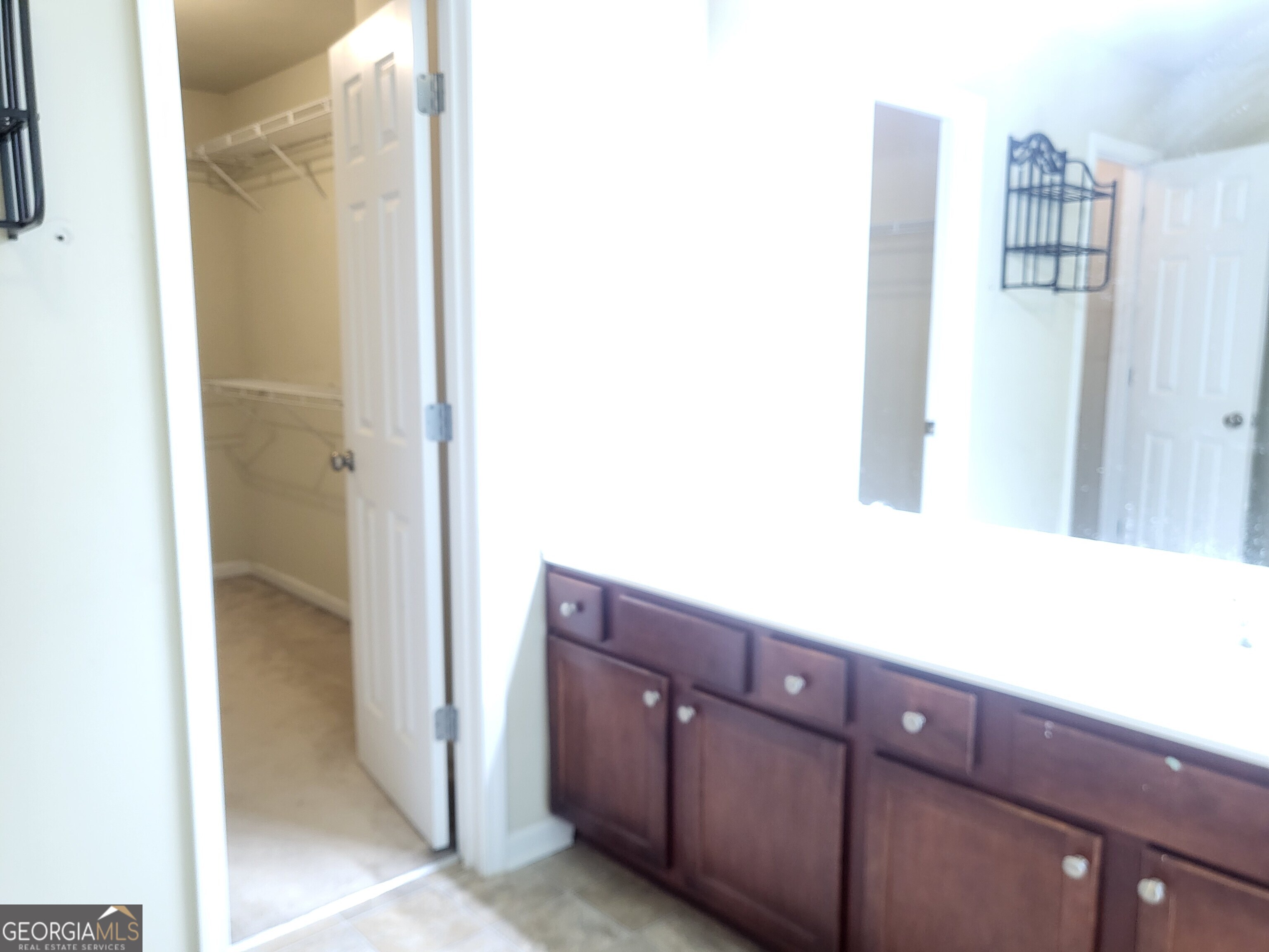 3447 Drayton Manor Run Property Photo 35