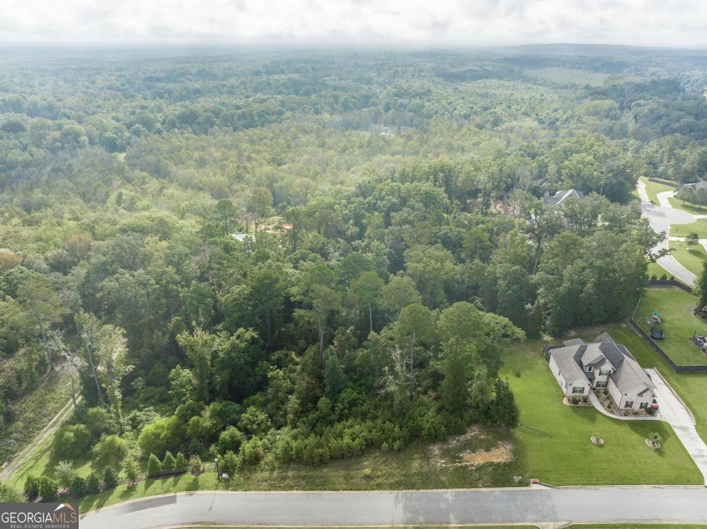 1063 Chattahoochee Drive Property Photo 2