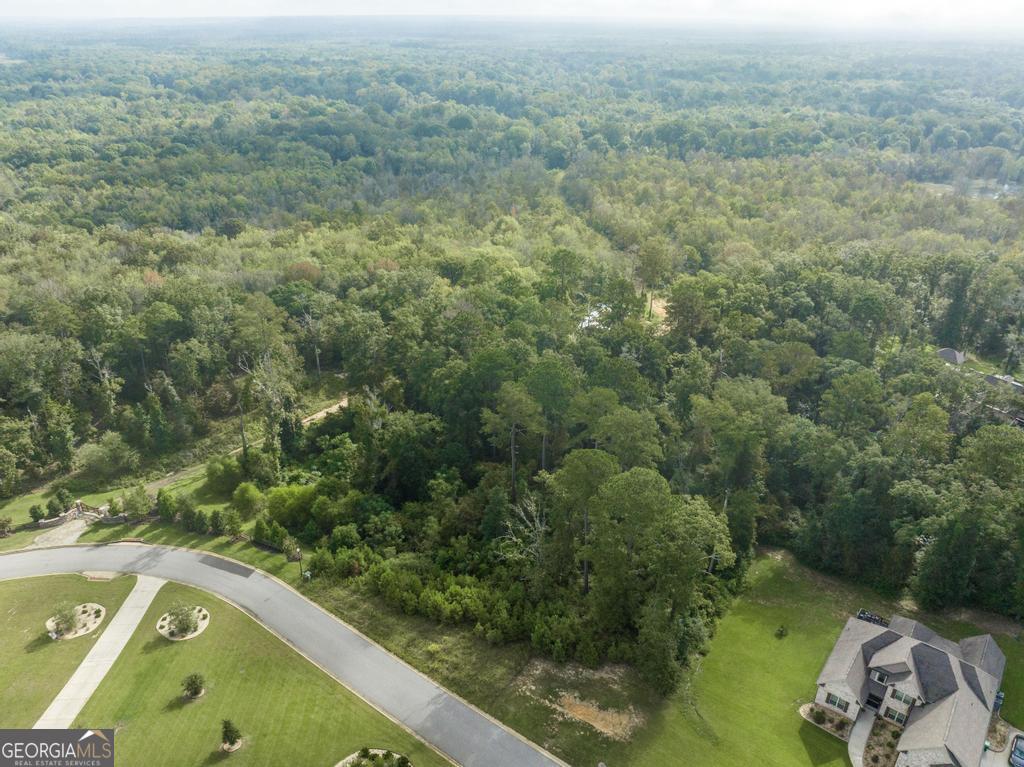 1063 Chattahoochee Drive Property Photo 3