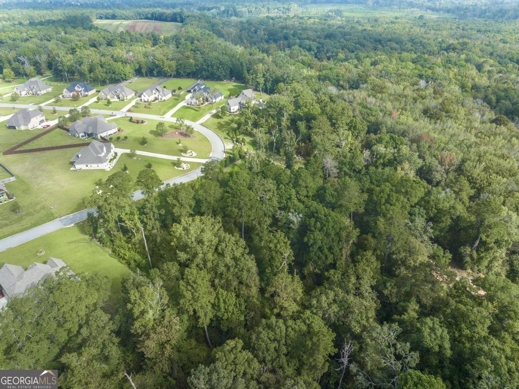 1063 Chattahoochee Drive Property Photo 4