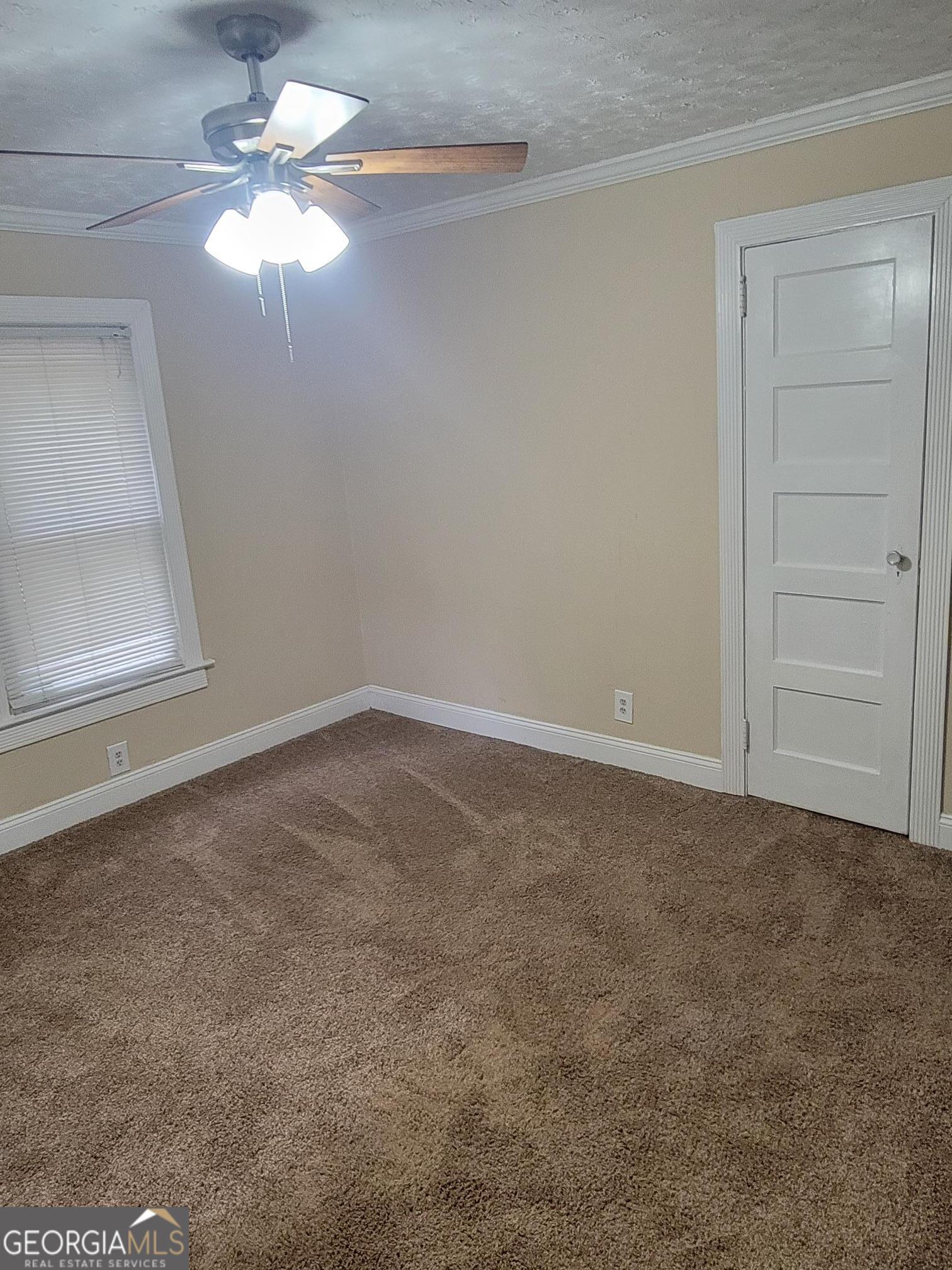 279 Ellison Road Property Photo 15