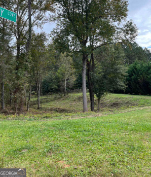 1001 Butterfly Cove Way Property Photo 1