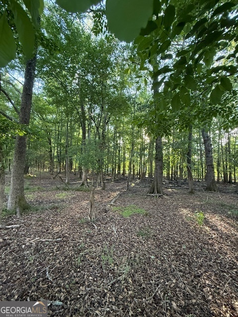 Lot 2 South Of Redwine Road Lot 1585 Property Photo 3
