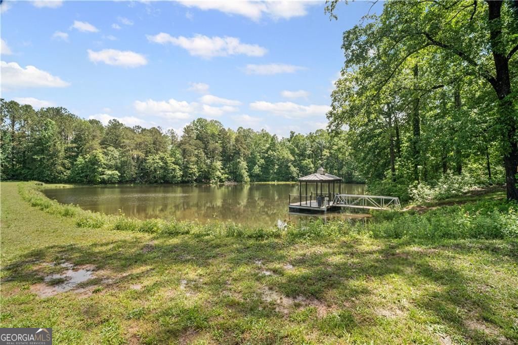 7350 Rambling Vale Property Photo 59