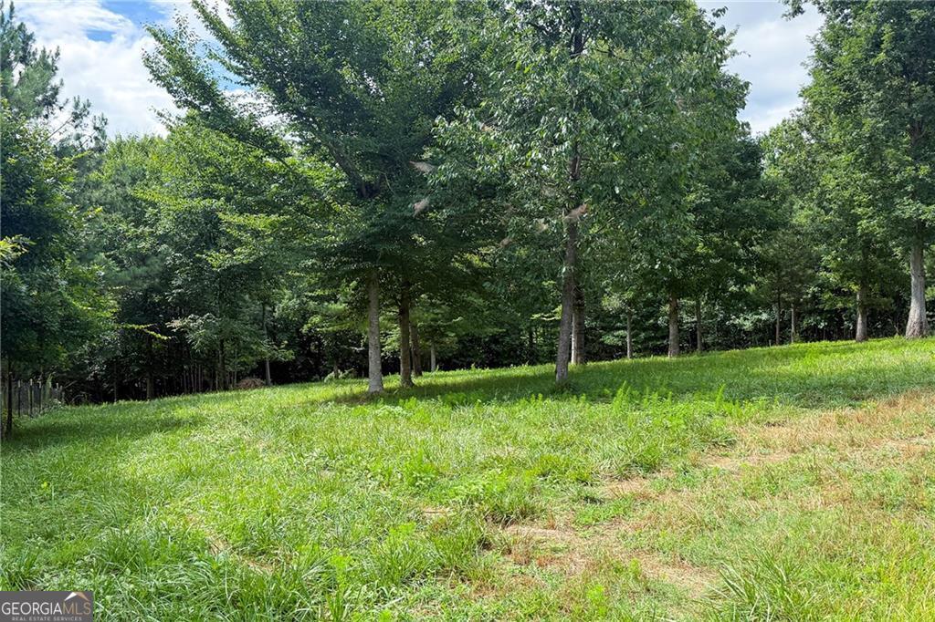 851 Lacy Road Property Photo 52