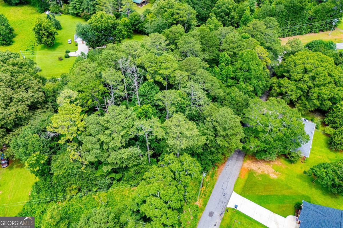 25 & 35 Mary Lane Property Photo 1