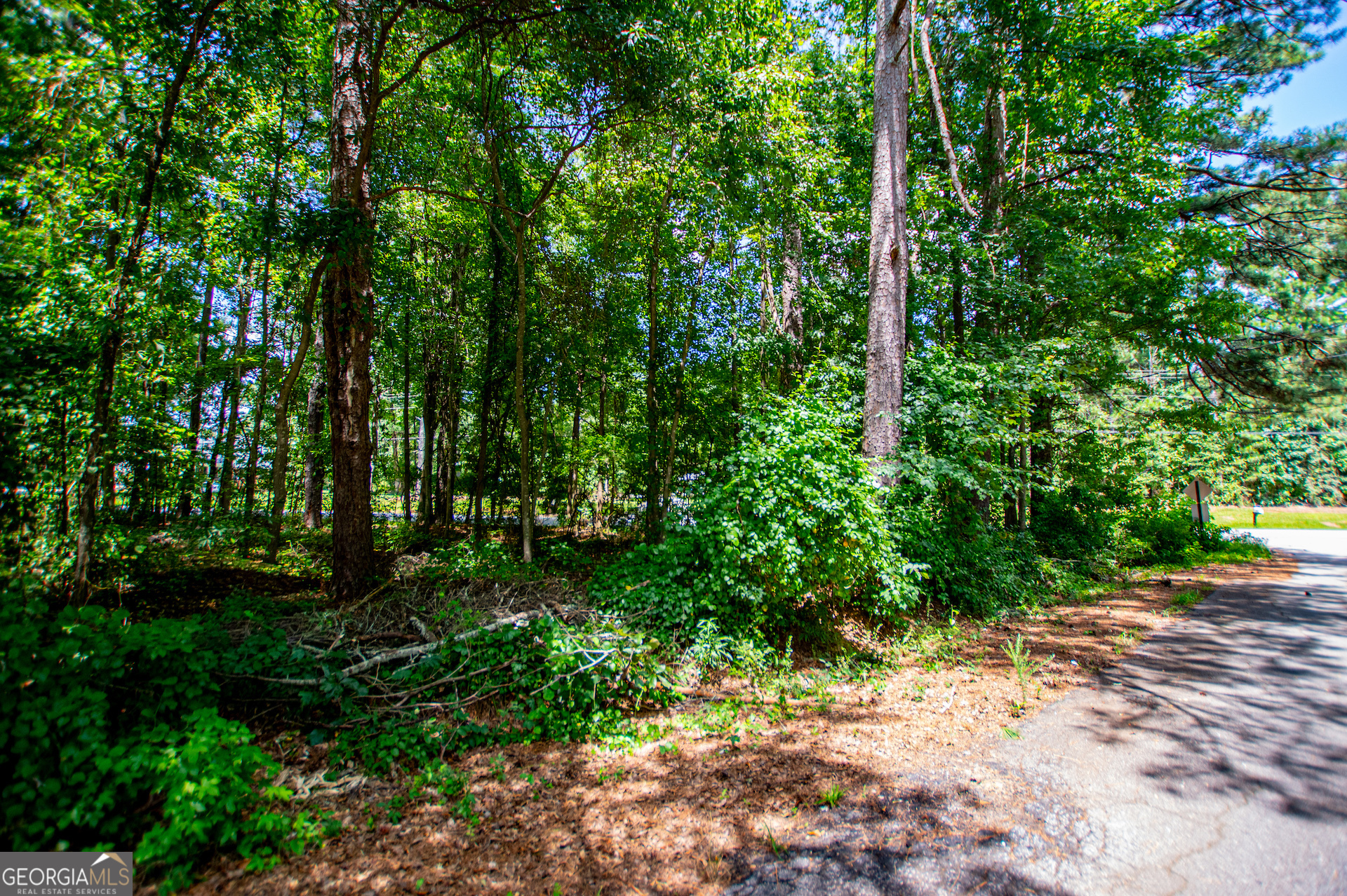 25 & 35 Mary Lane Property Photo 30