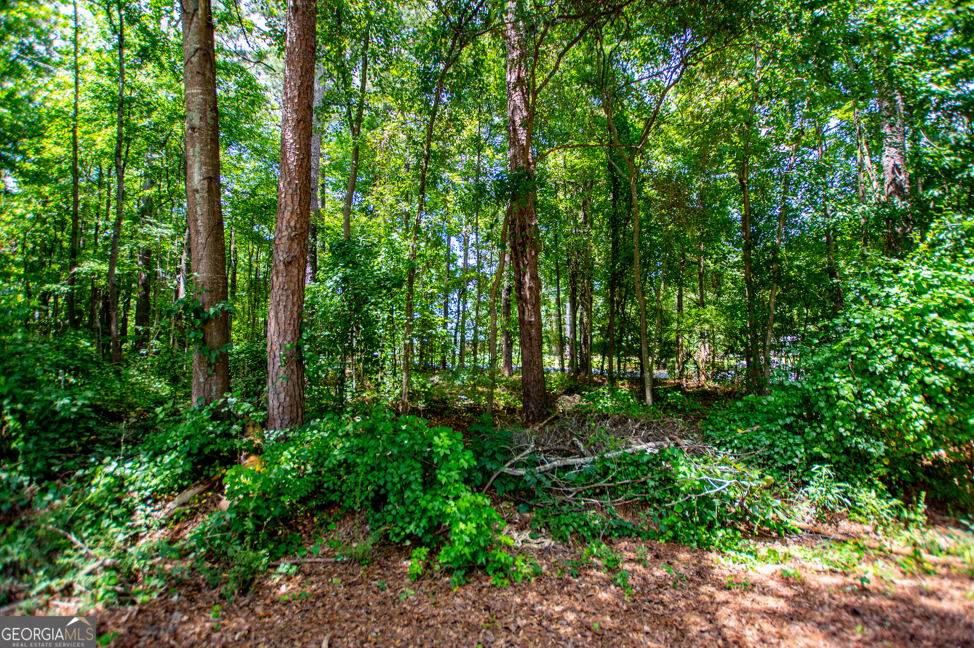 25 & 35 Mary Lane Property Photo 35