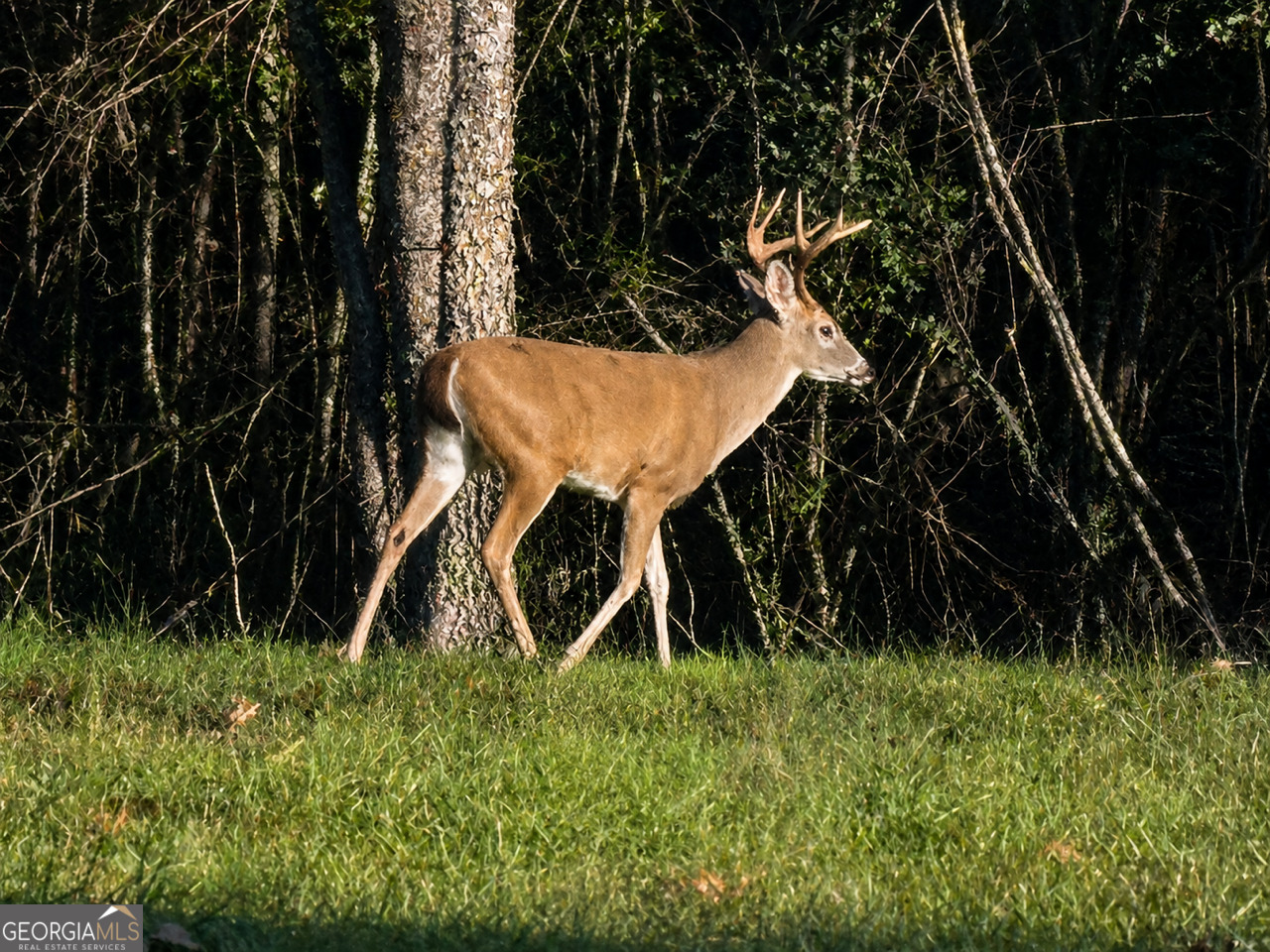 1400 Poplar Springs Road Property Photo 45