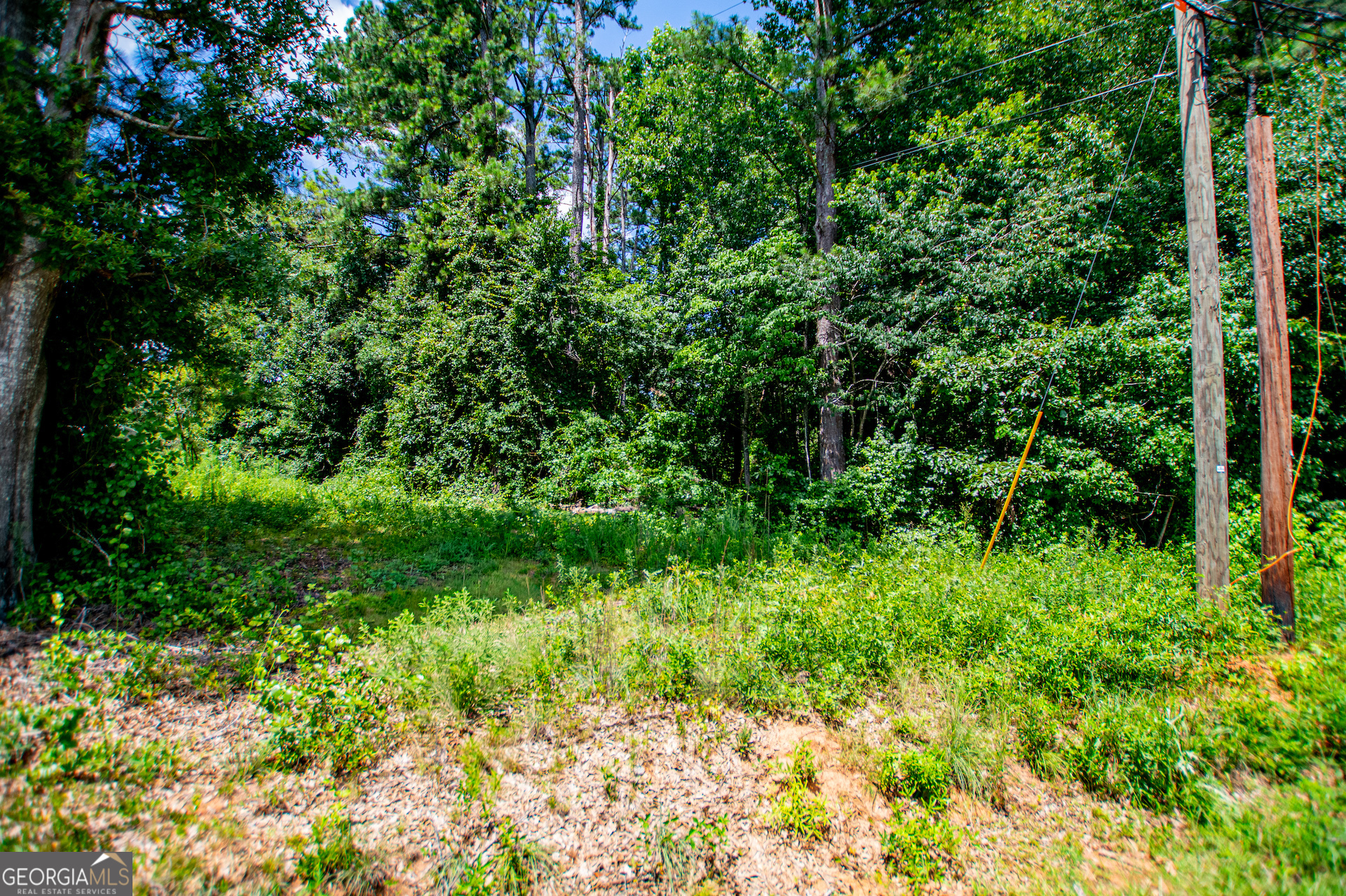 0 Pleasant Ridge Church Road Property Photo 28