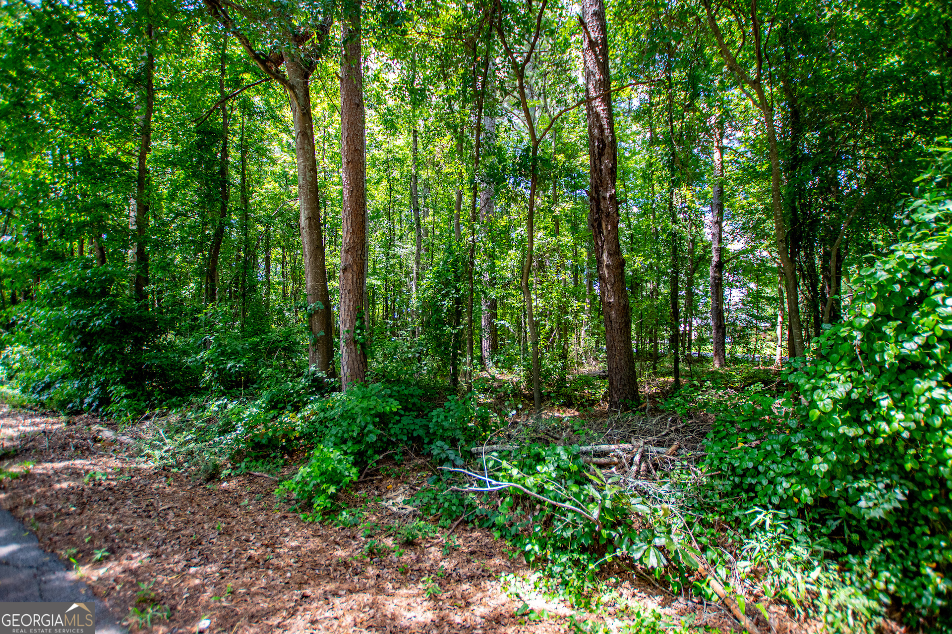 0 Pleasant Ridge Church Road Property Photo 34