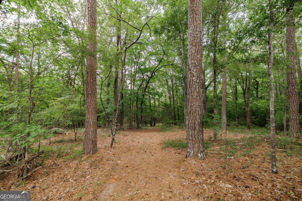 1967 Calhoun Falls Highway Property Photo 52