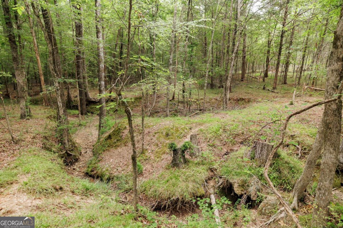 1967 Calhoun Falls Highway Property Photo 53