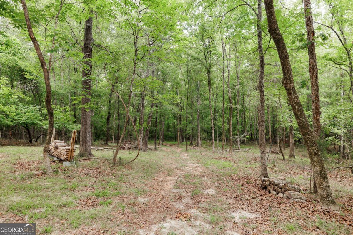 1967 Calhoun Falls Highway Property Photo 54