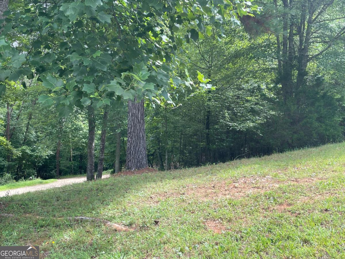 Lot 1 Pinehurst # 1 Property Photo 1