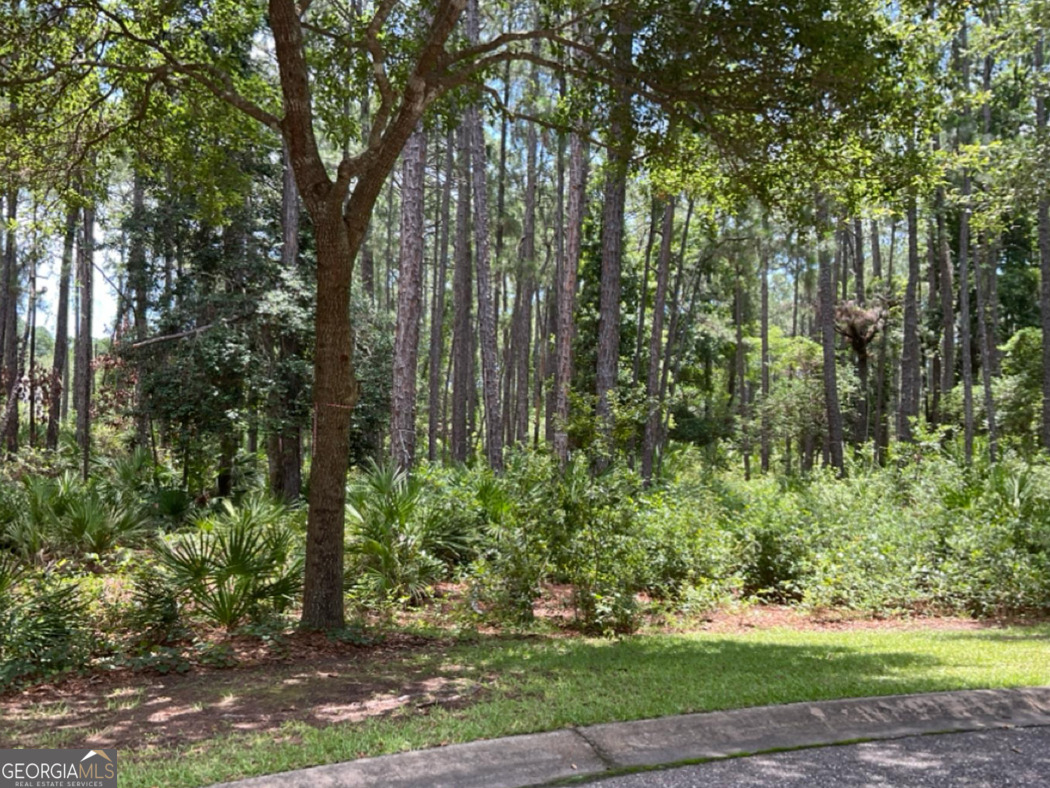LOT 242 Lateral Buoy Lane Property Photo 1