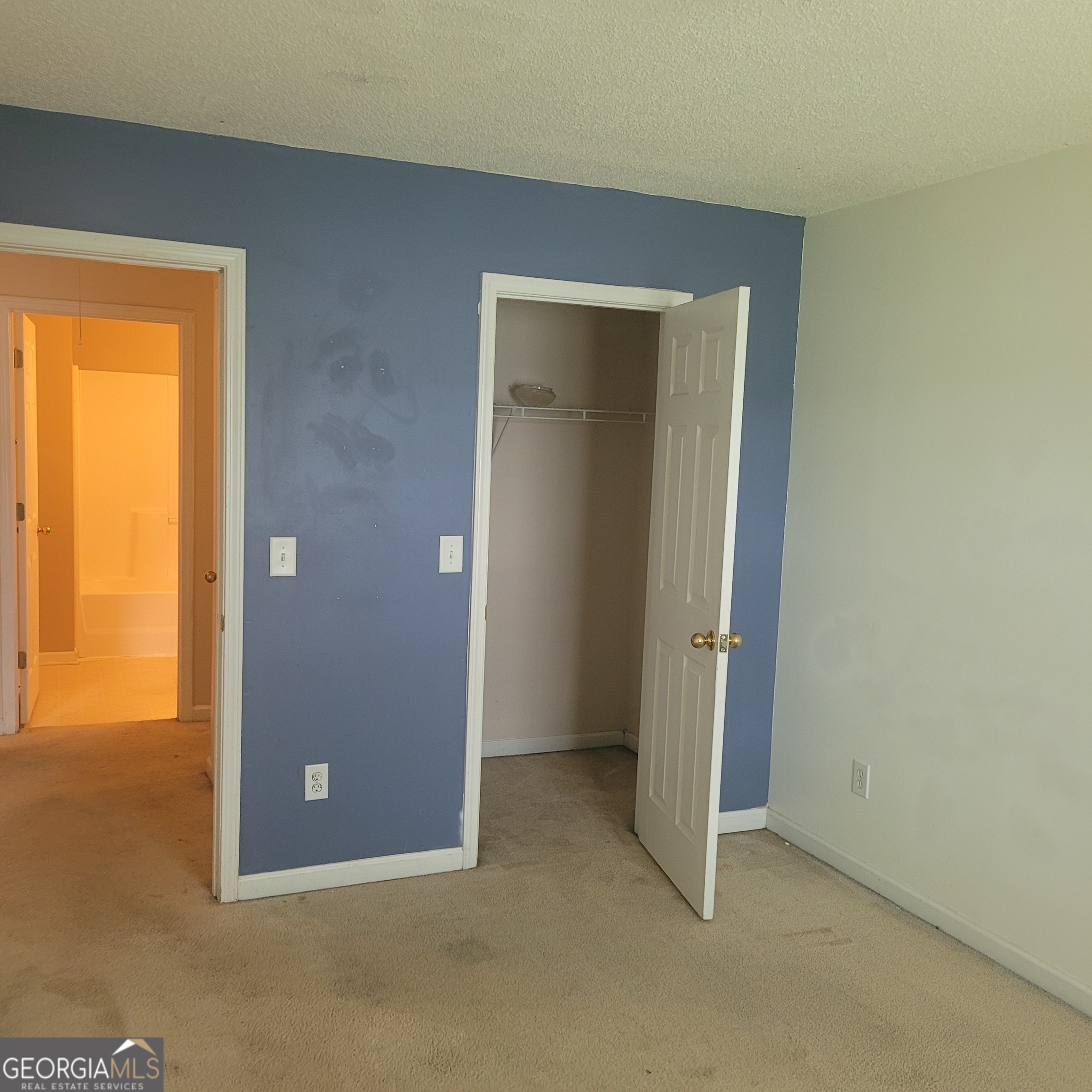 7250 Alicias Way Property Photo 17