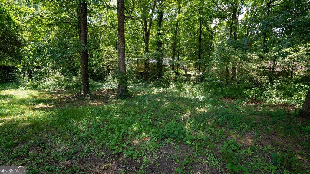 18 Azalea Drive Se Property Photo 28