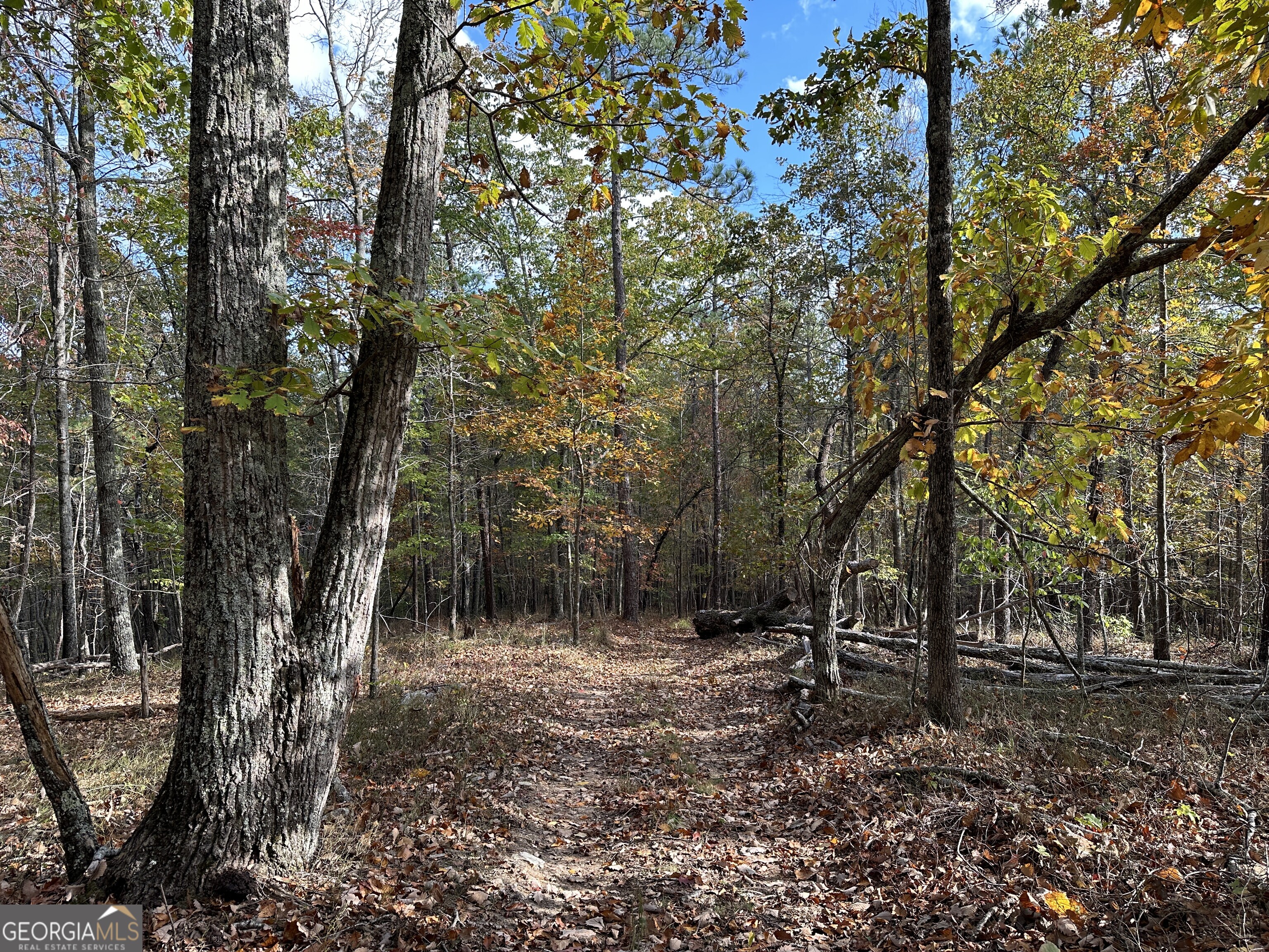 1806 Browning Road Property Photo 8