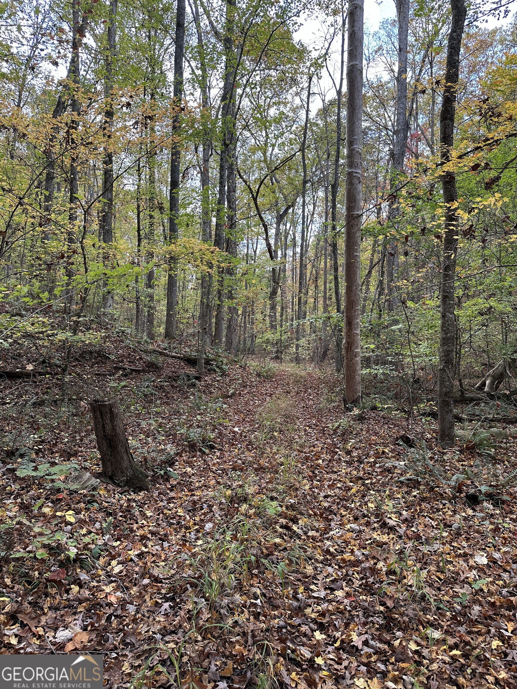 1806 Browning Road Property Photo 12