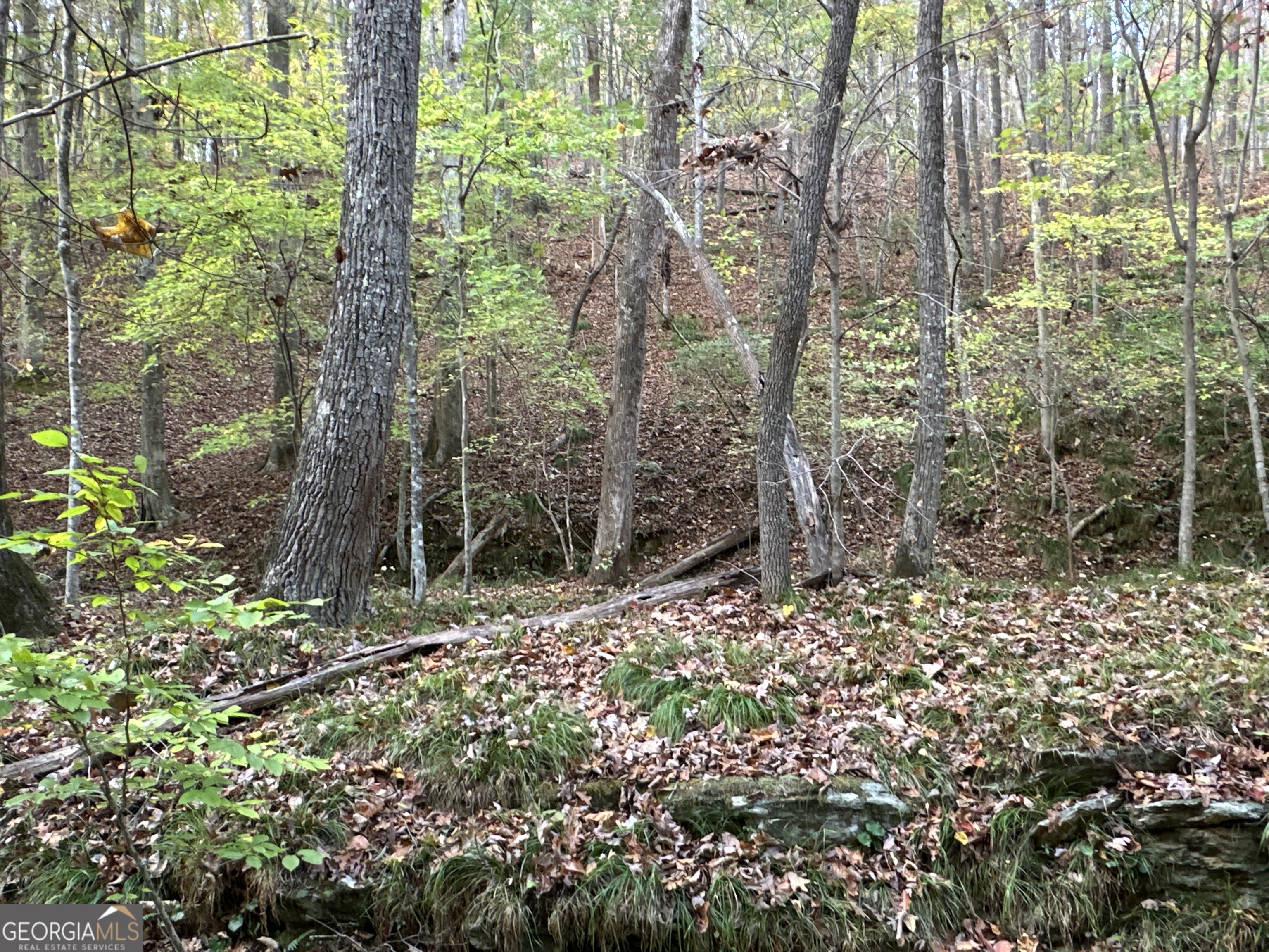 1806 Browning Road Property Photo 16