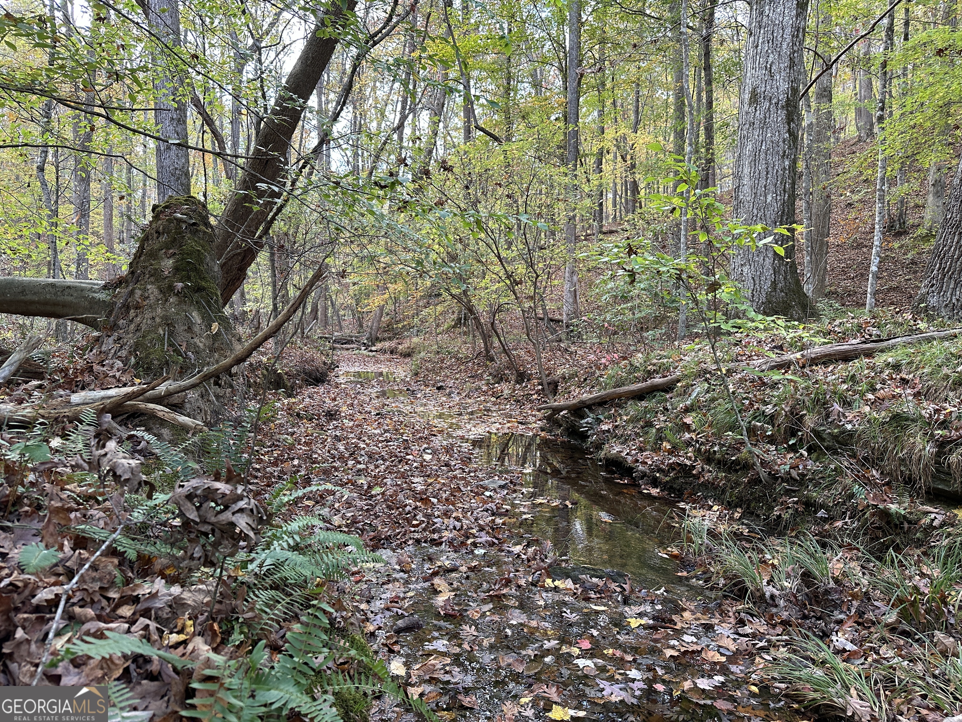 1806 Browning Road Property Photo 17