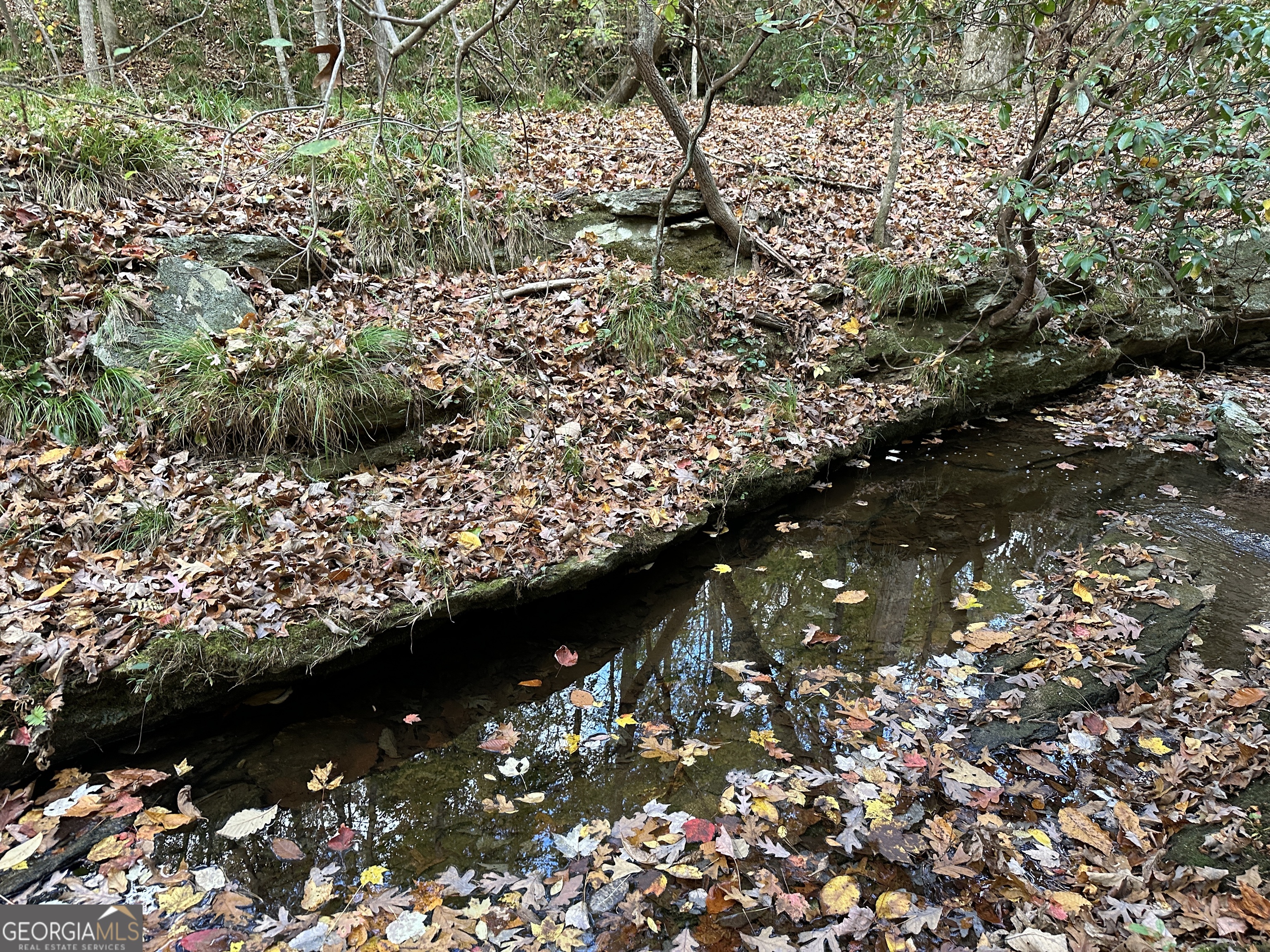 1806 Browning Road Property Photo 18