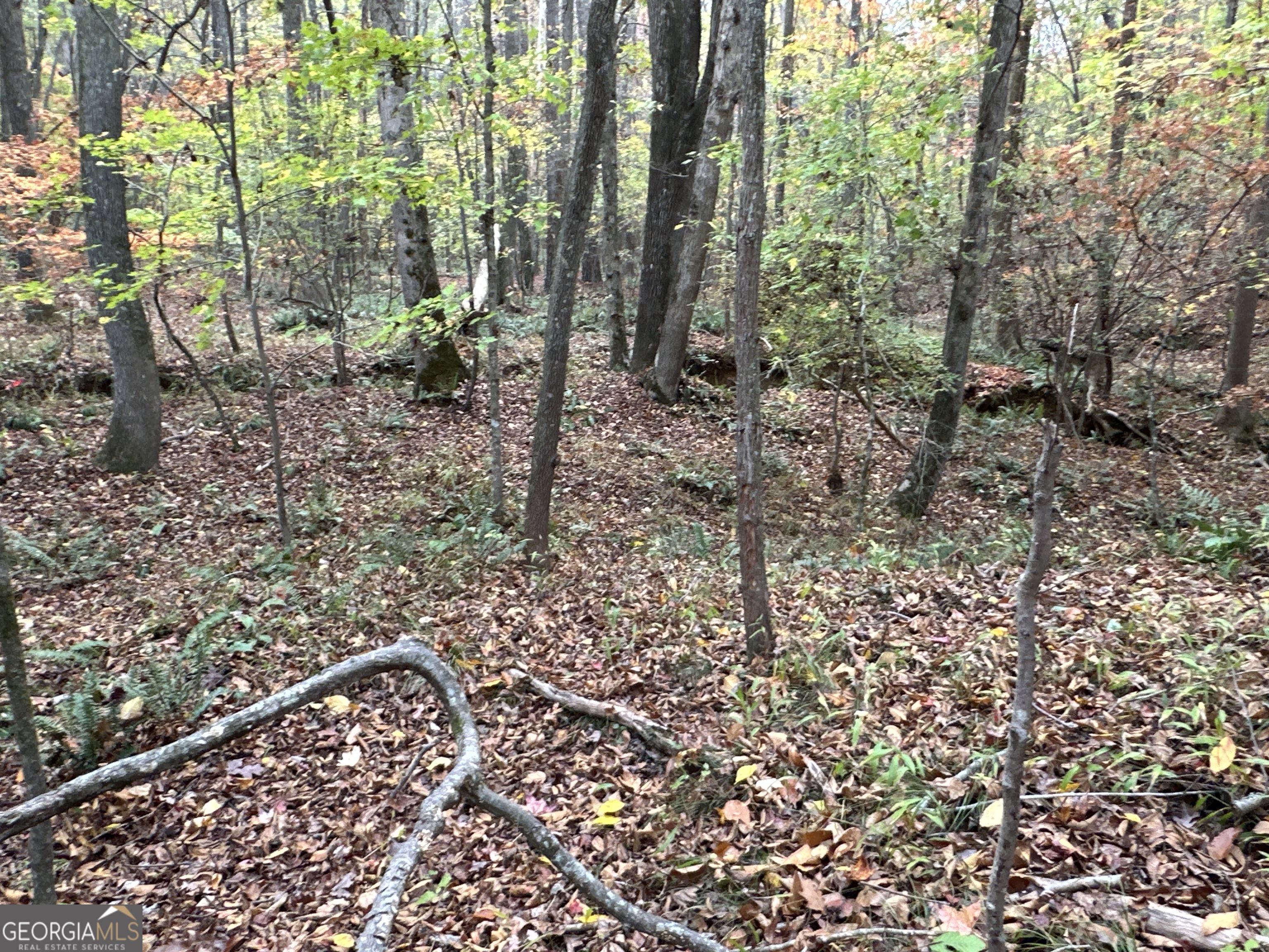 1806 Browning Road Property Photo 19