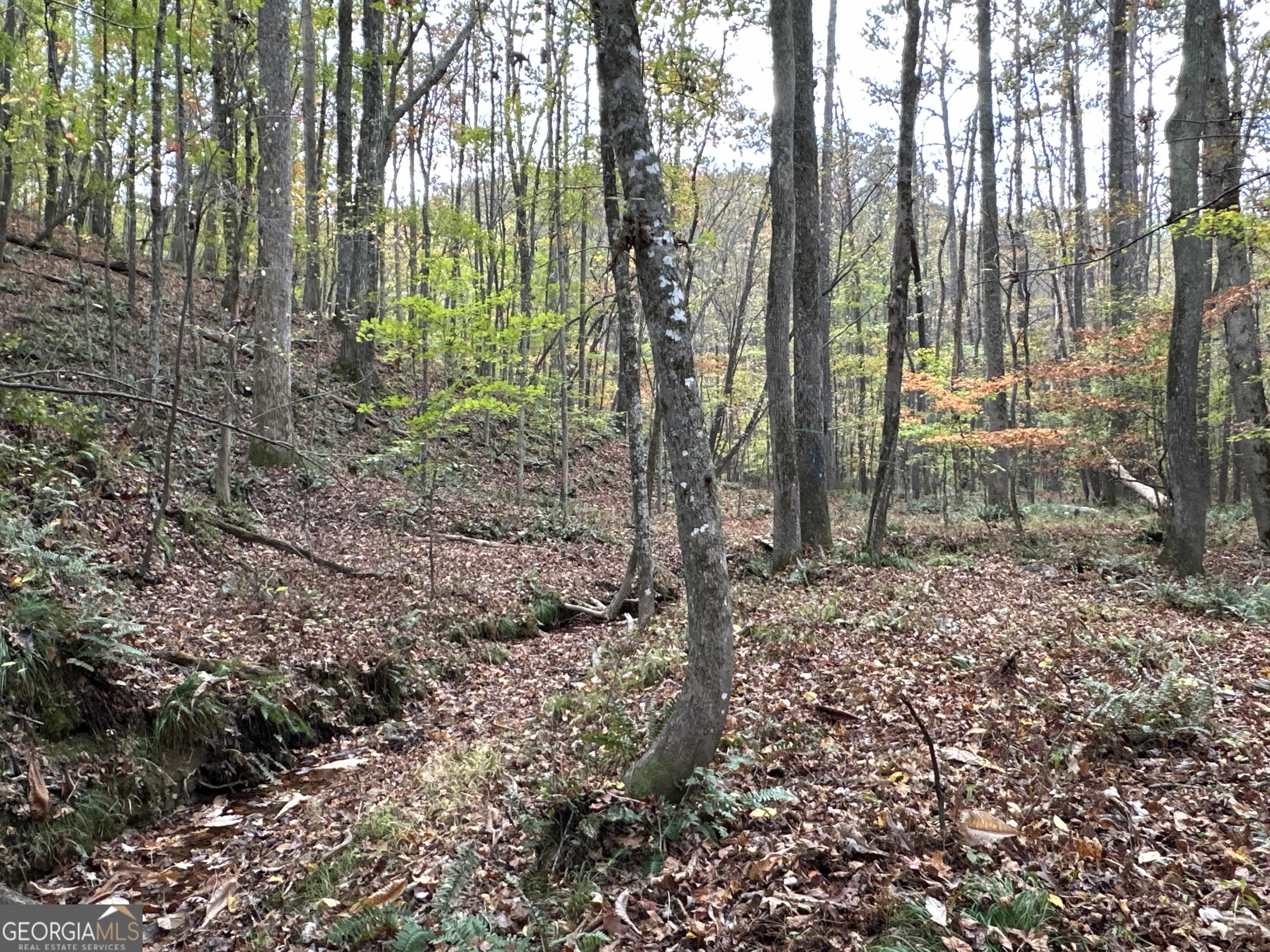 1806 Browning Road Property Photo 21