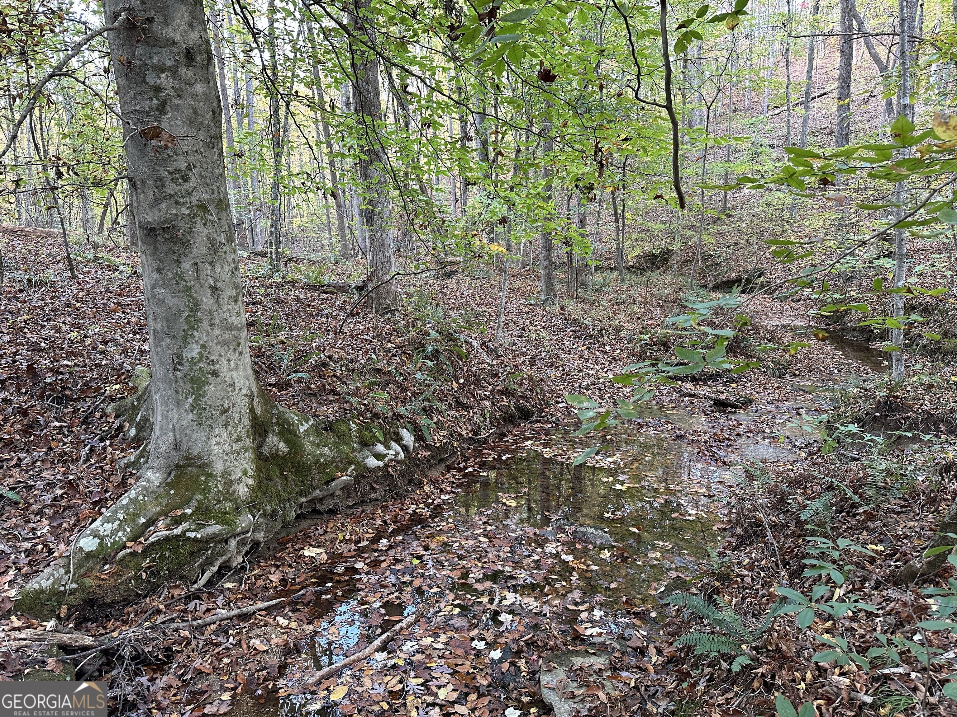 1806 Browning Road Property Photo 24