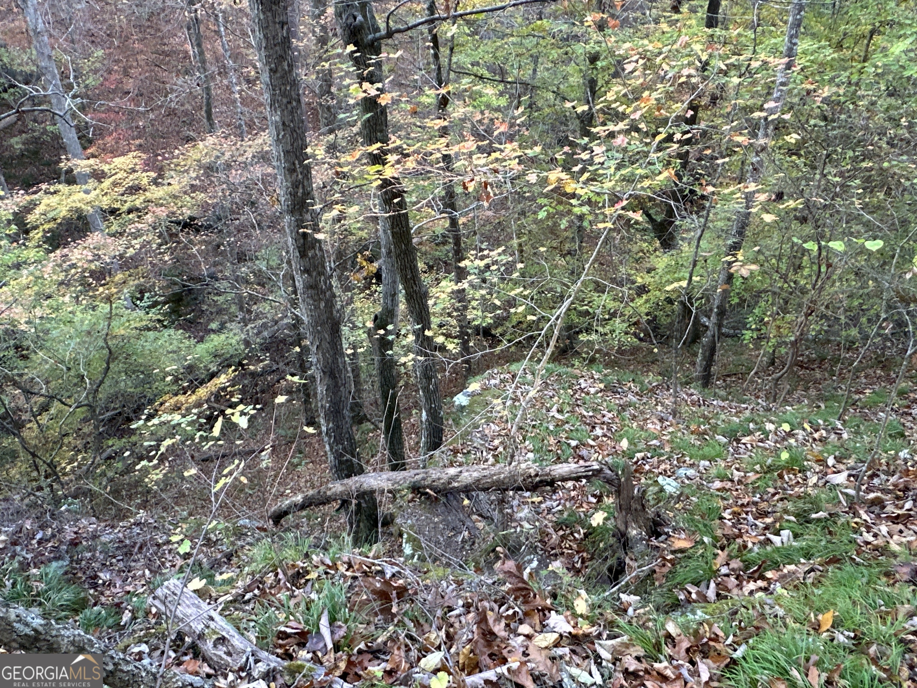 1806 Browning Road Property Photo 26