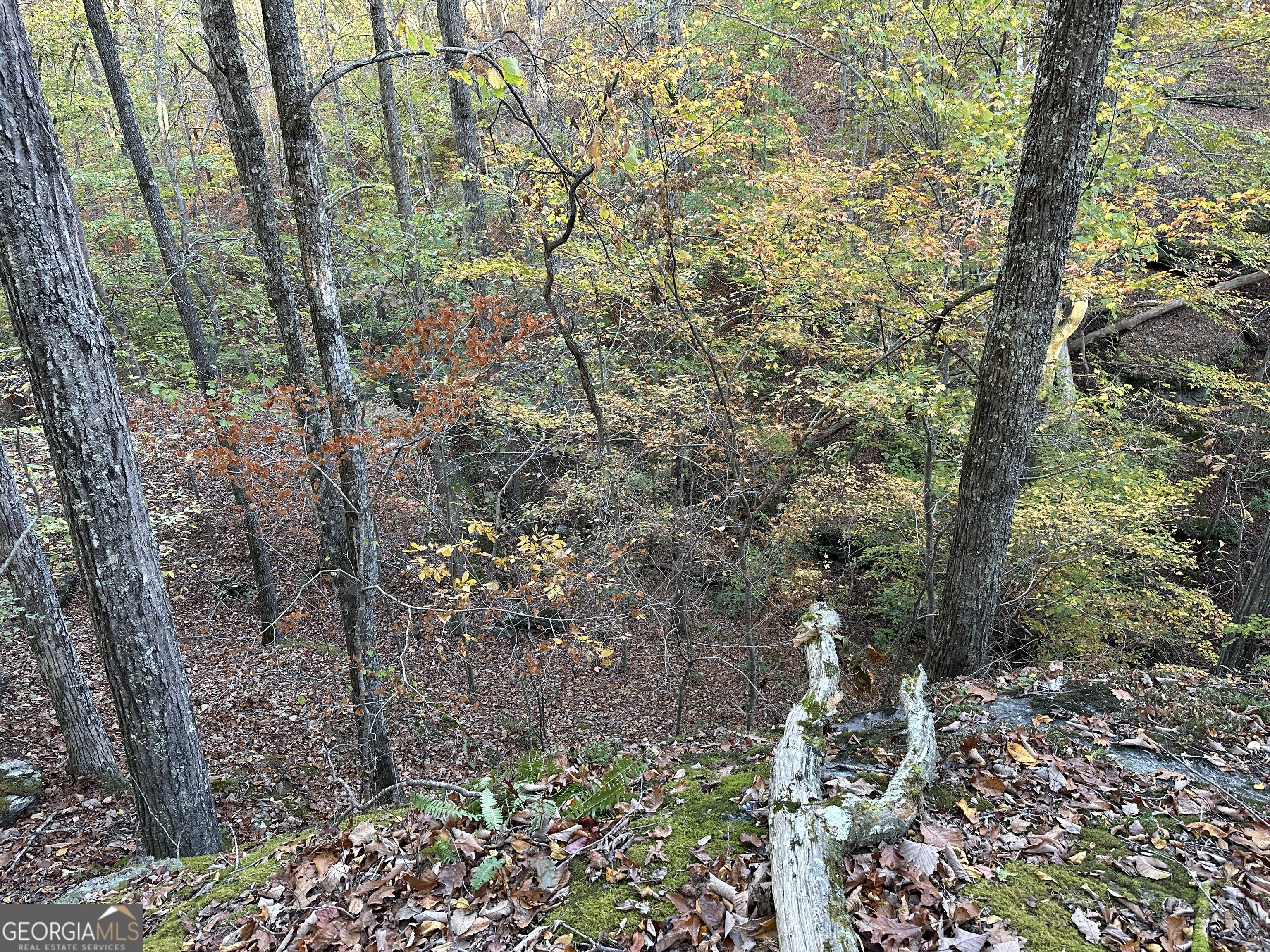 1806 Browning Road Property Photo 28