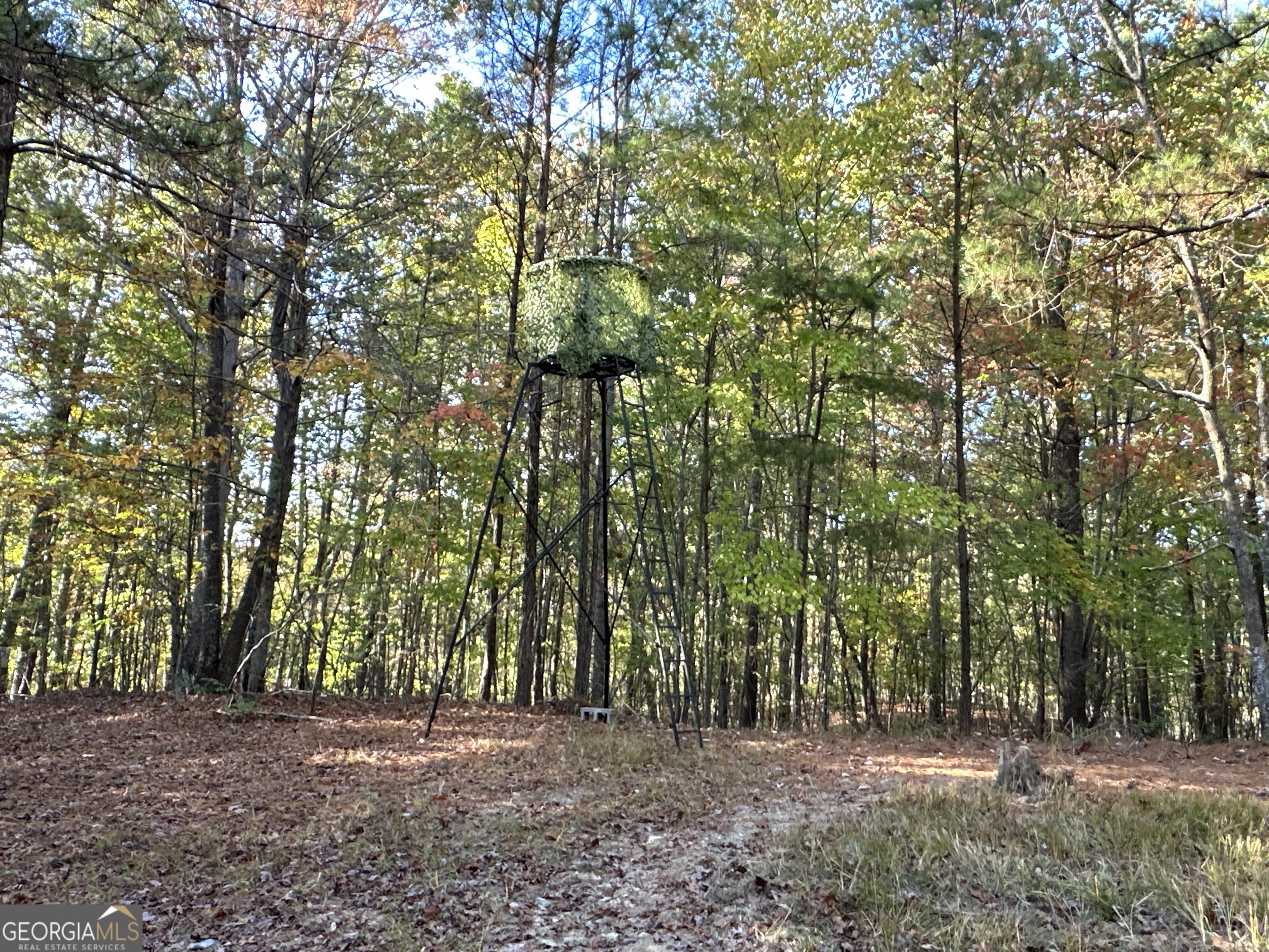1806 Browning Road Property Photo 30
