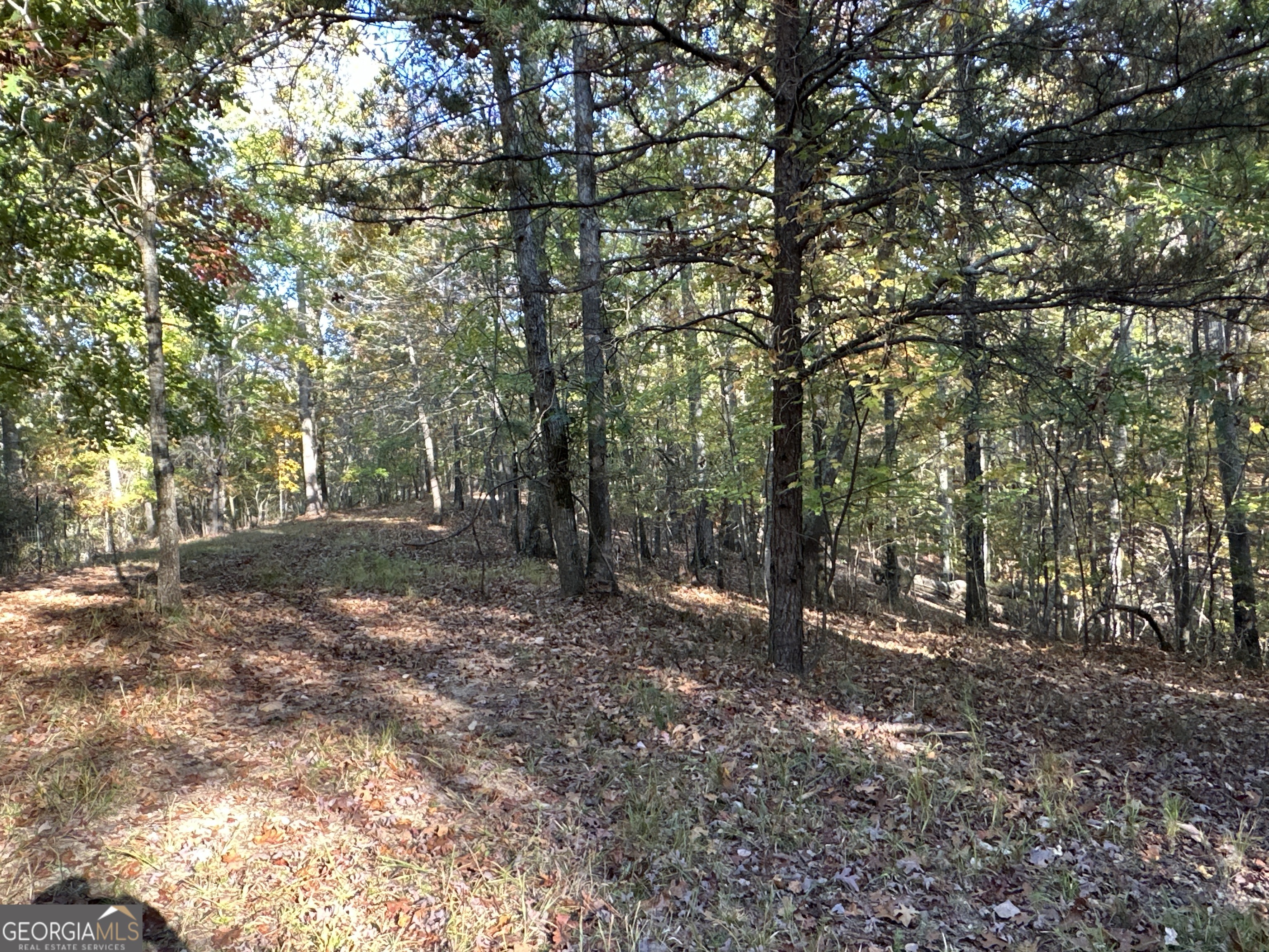 1806 Browning Road Property Photo 31