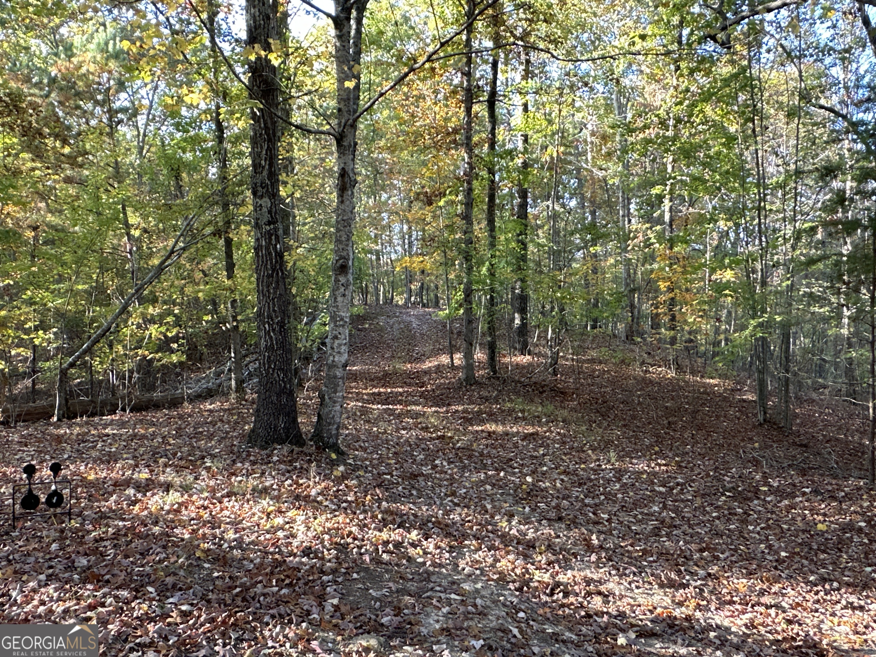 1806 Browning Road Property Photo 32