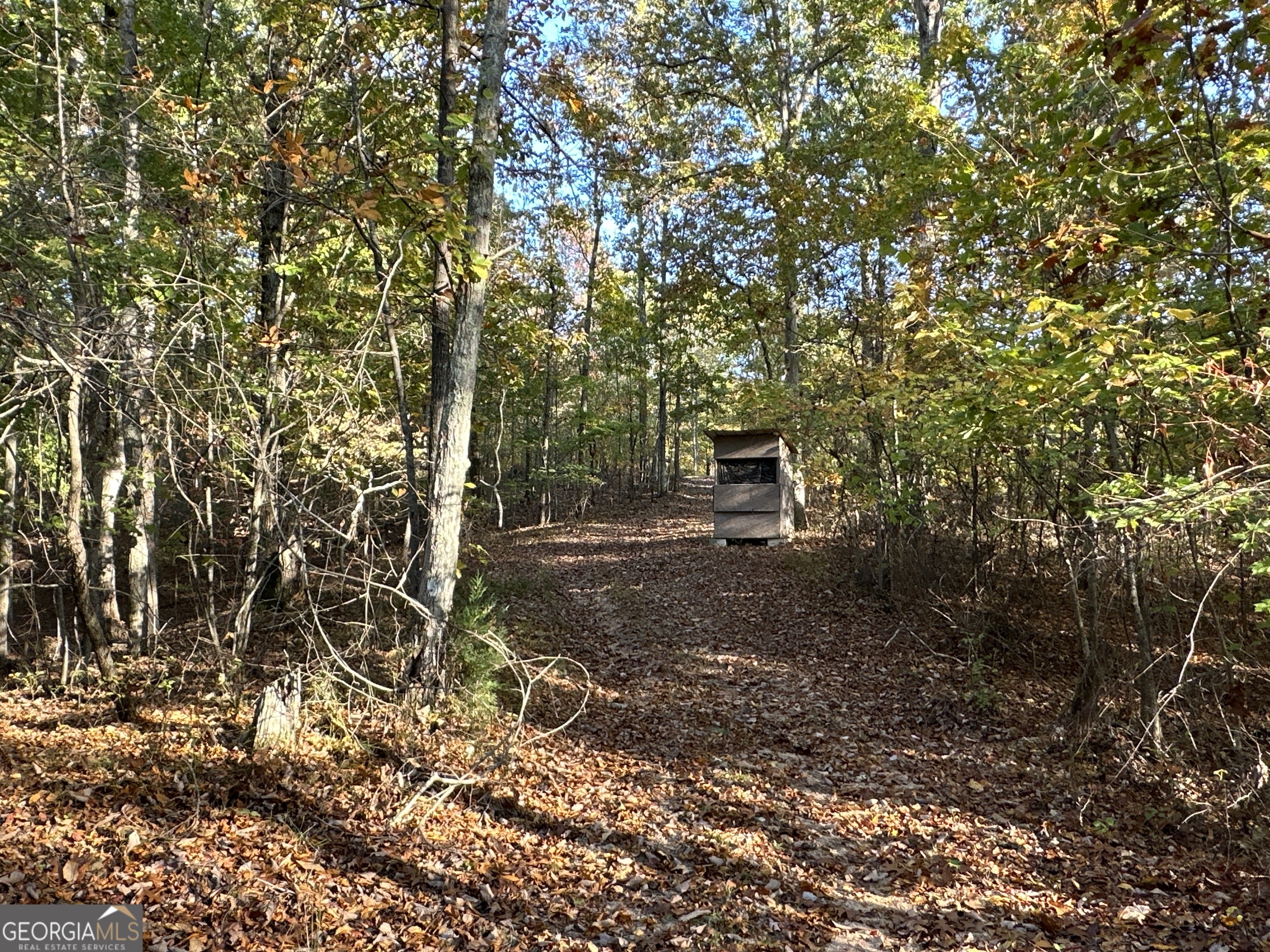1806 Browning Road Property Photo 48